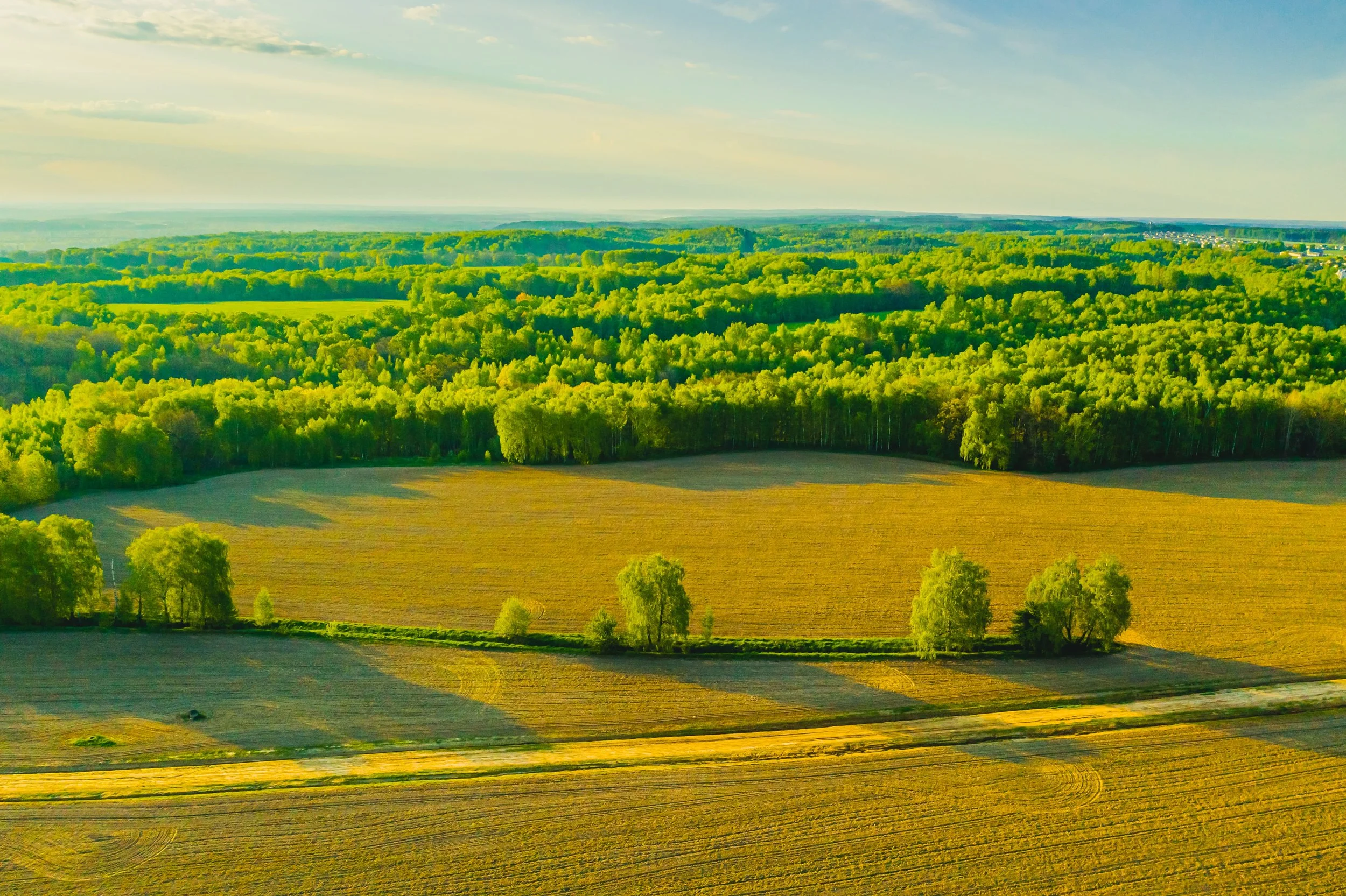 iStock-1474598600-min.jpg