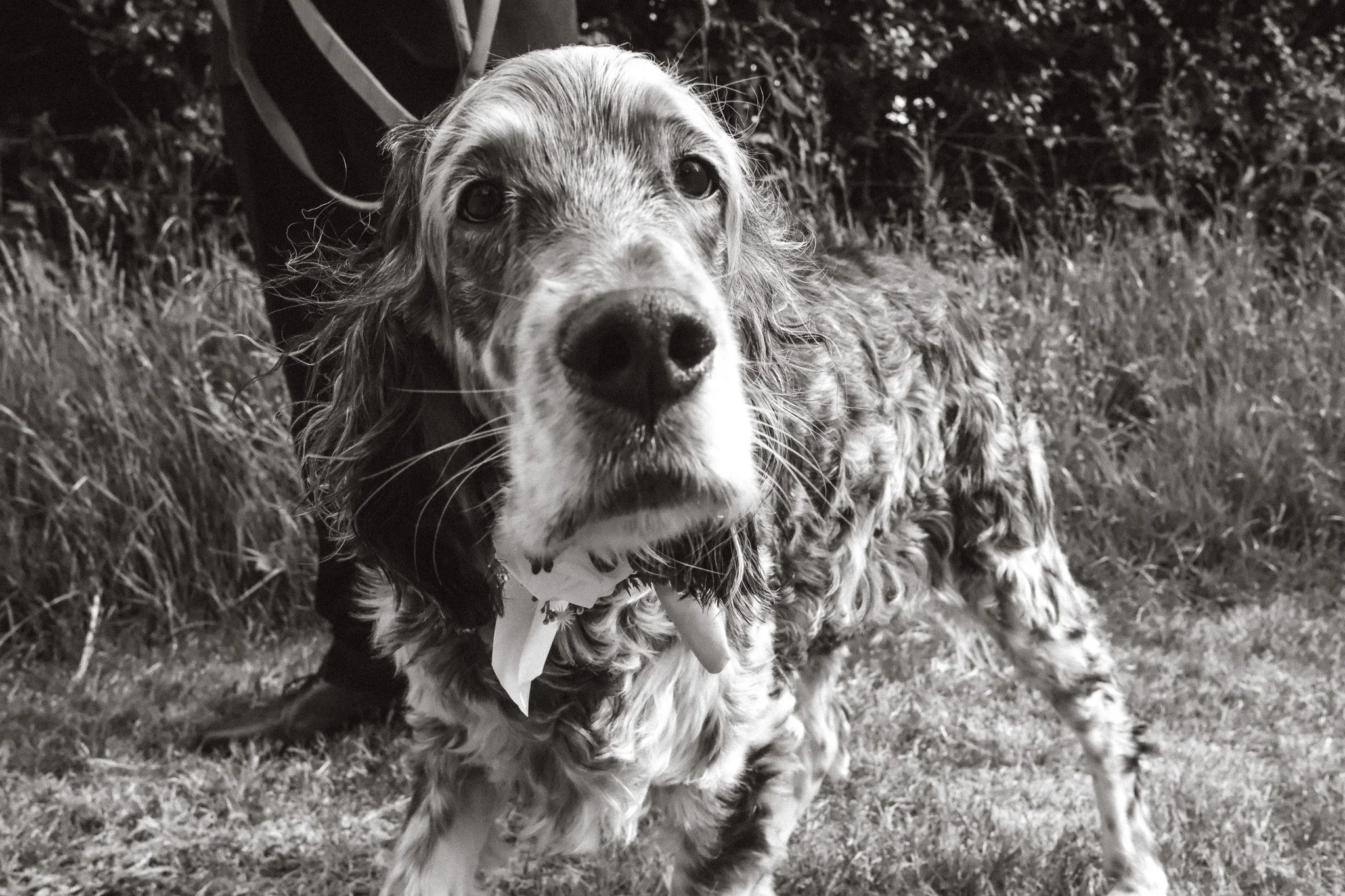 Sophie and Jamie - Selected Photographs