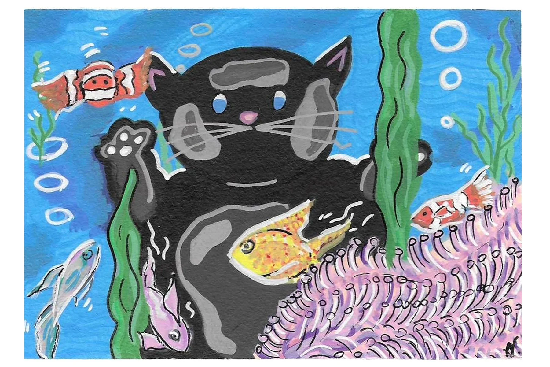 Chocolat Aquarium.jpg