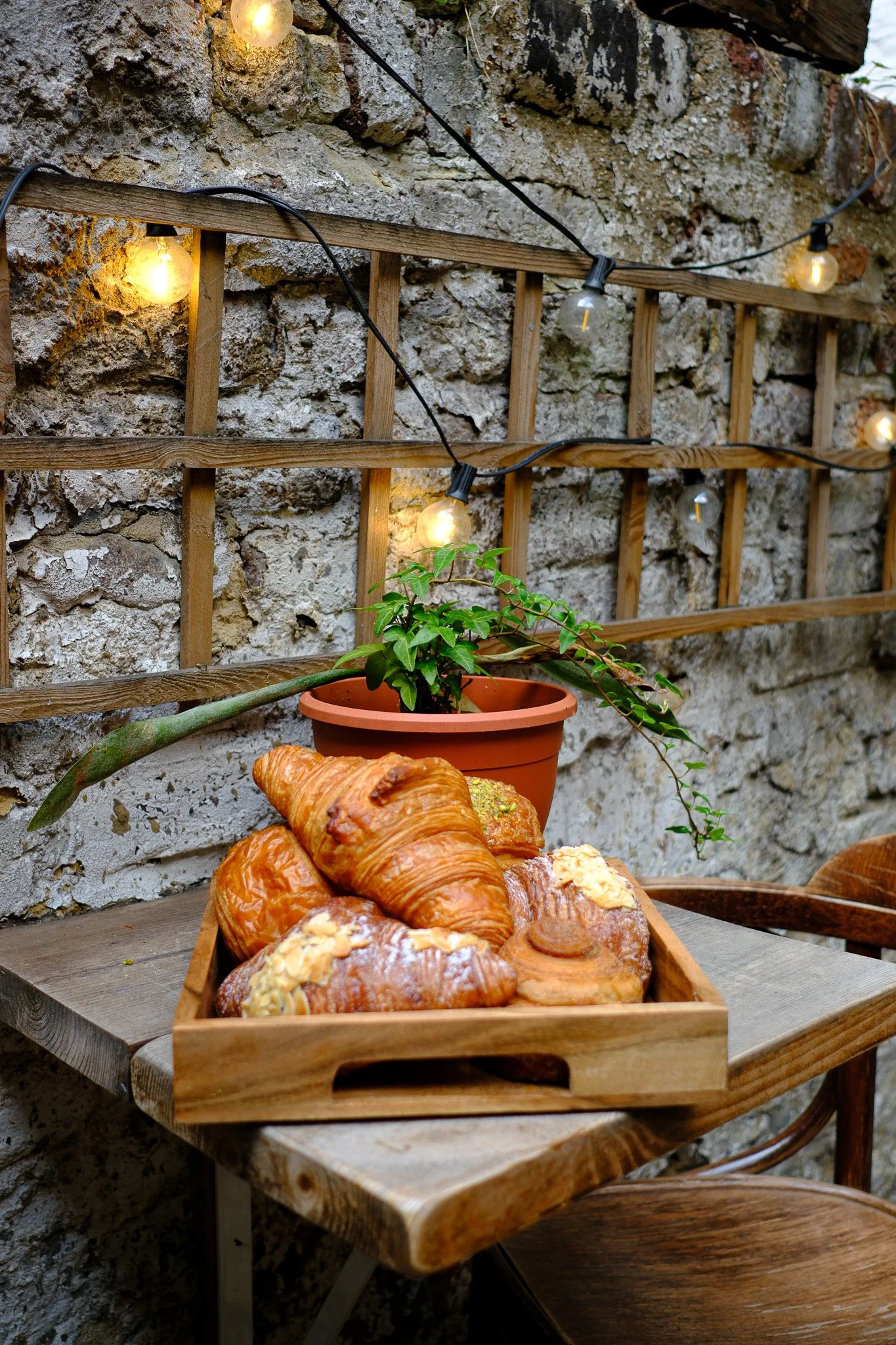 Chapeau Cloche - Cafe and Evening Bar - Selected Photographs