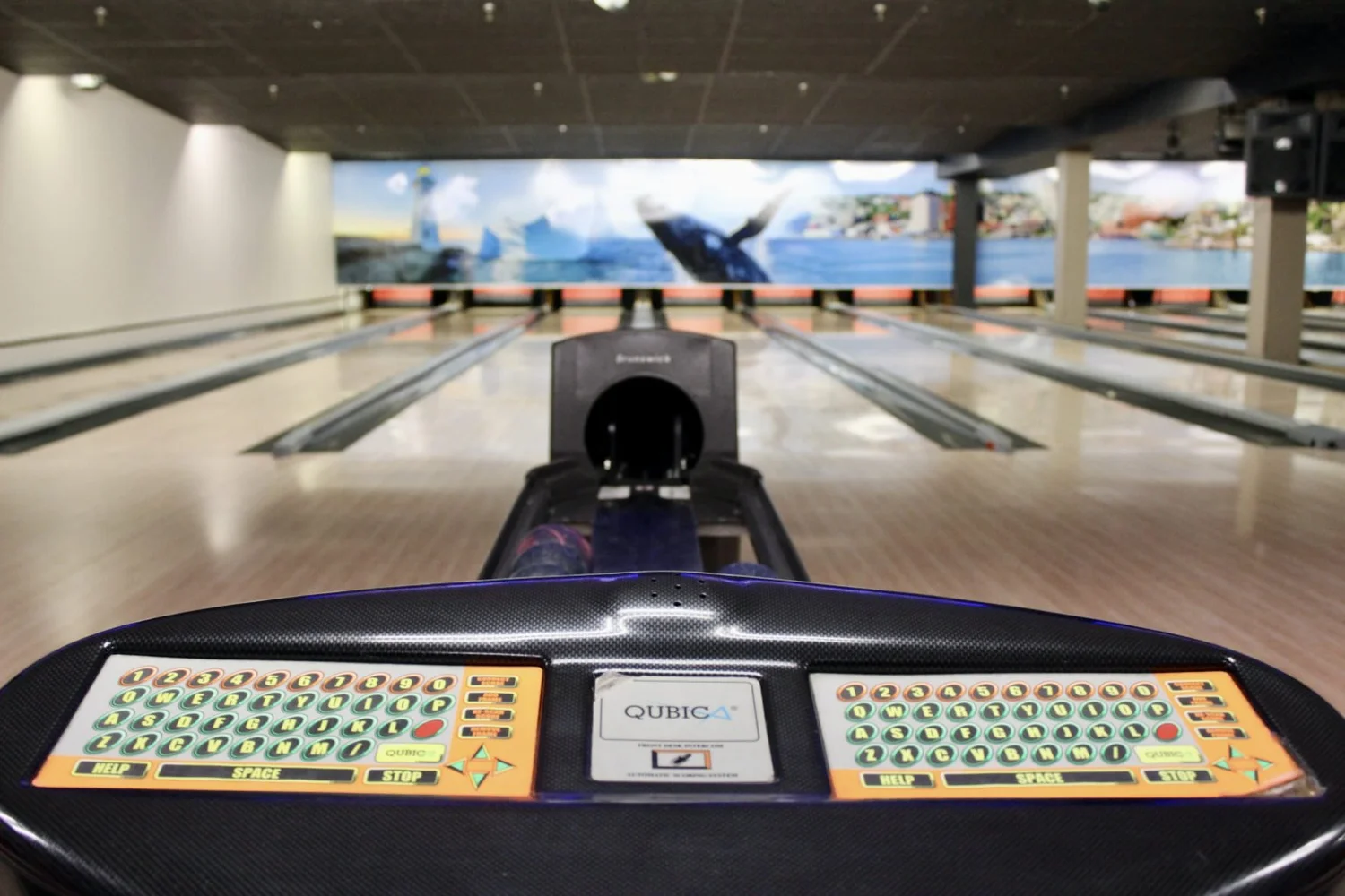 schedule-paradise-bowl