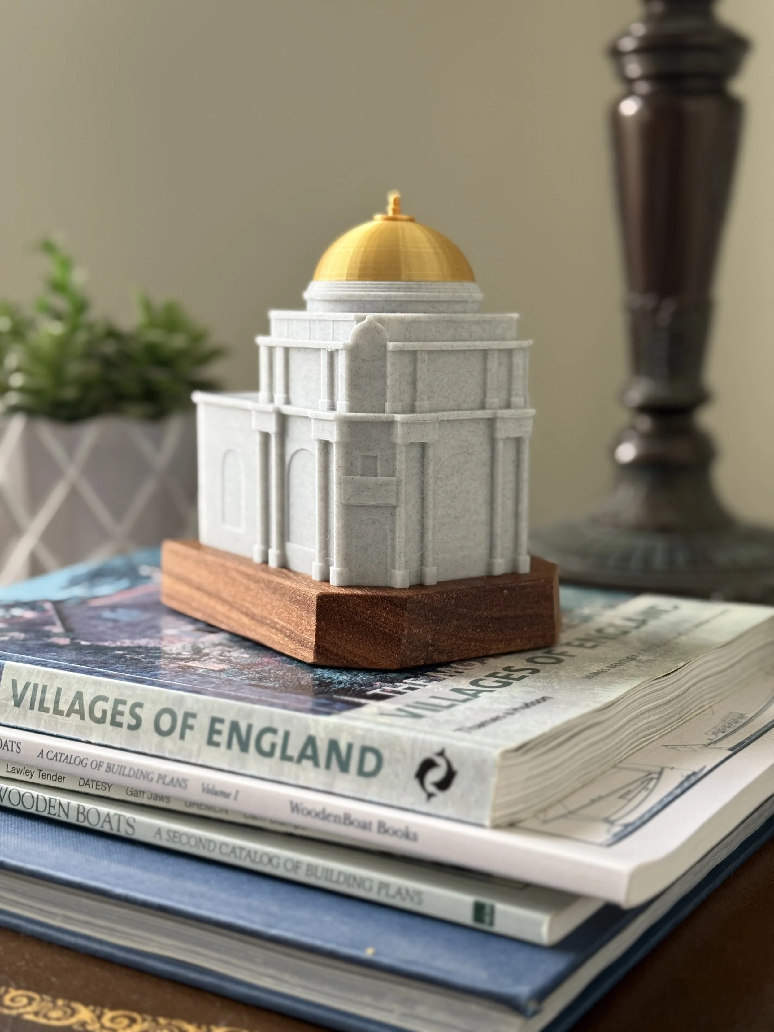 Buffalo Savings Piggy Bank