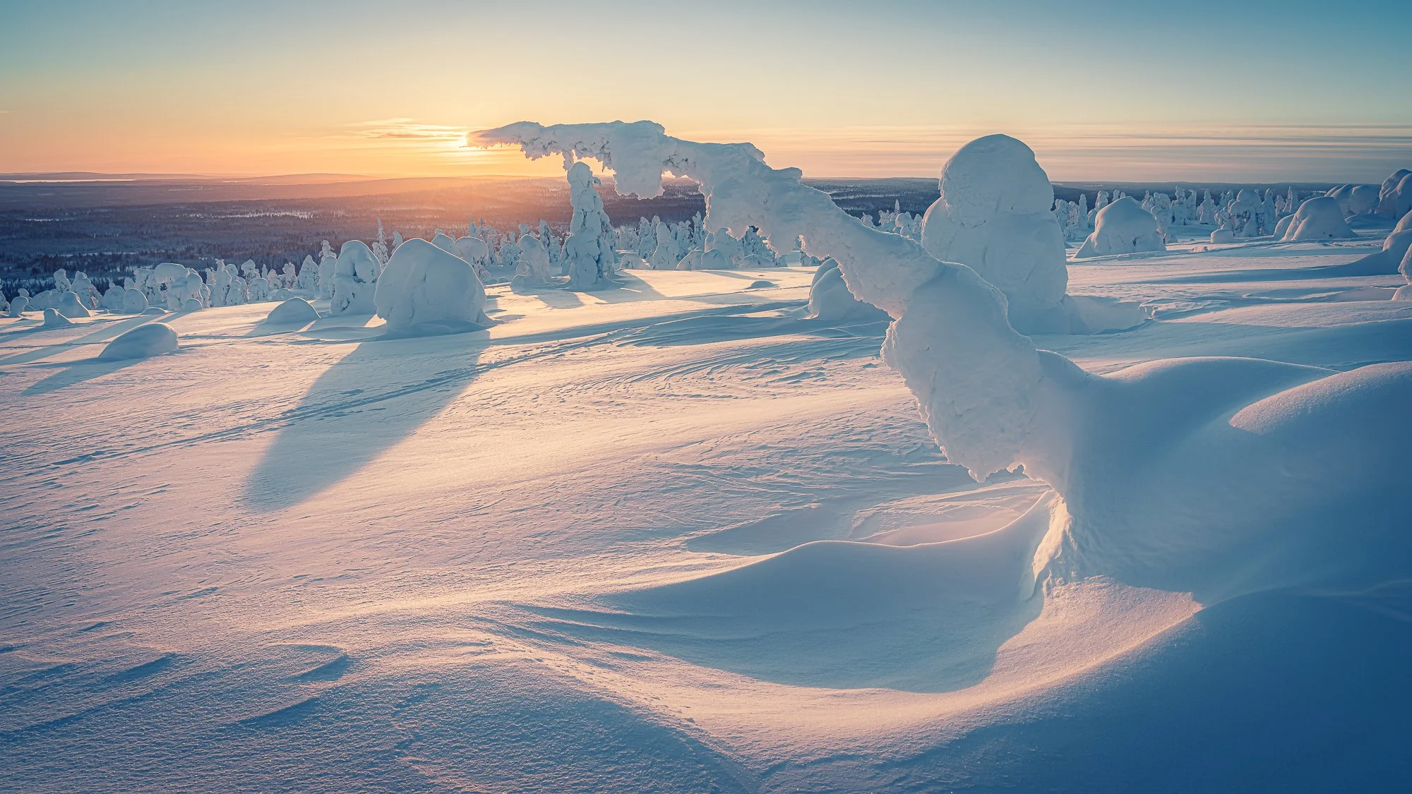Kevään merkkejä Sonylla 3.–6.4.2026
