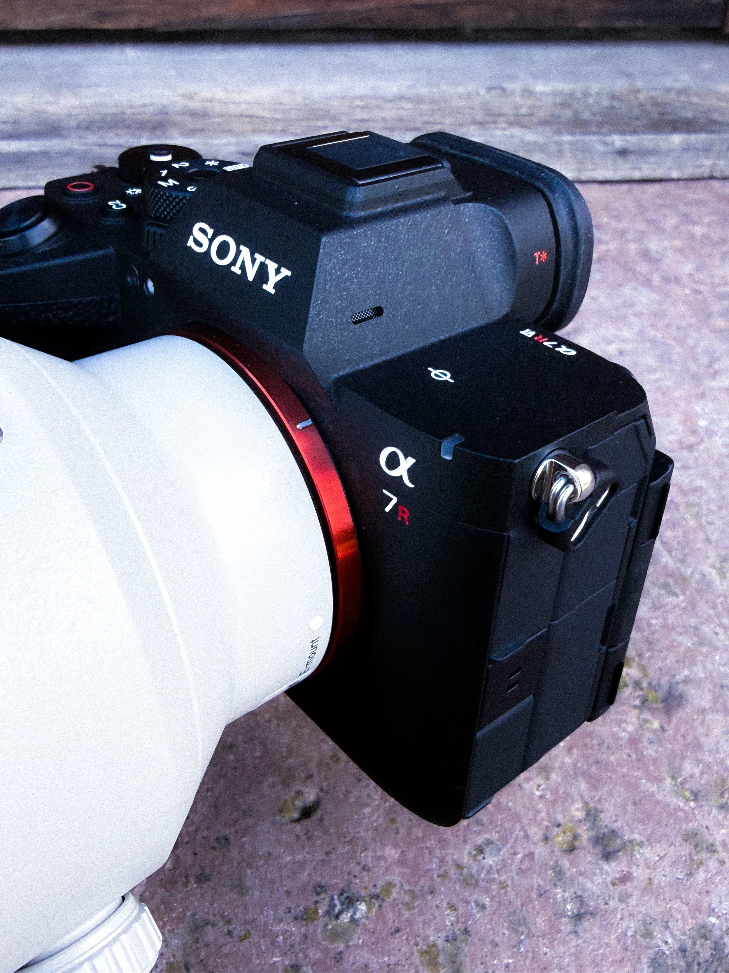 Sony A7R VI: Powerful New Features That Elevate Landscape, Studio, and Wildlife Photography