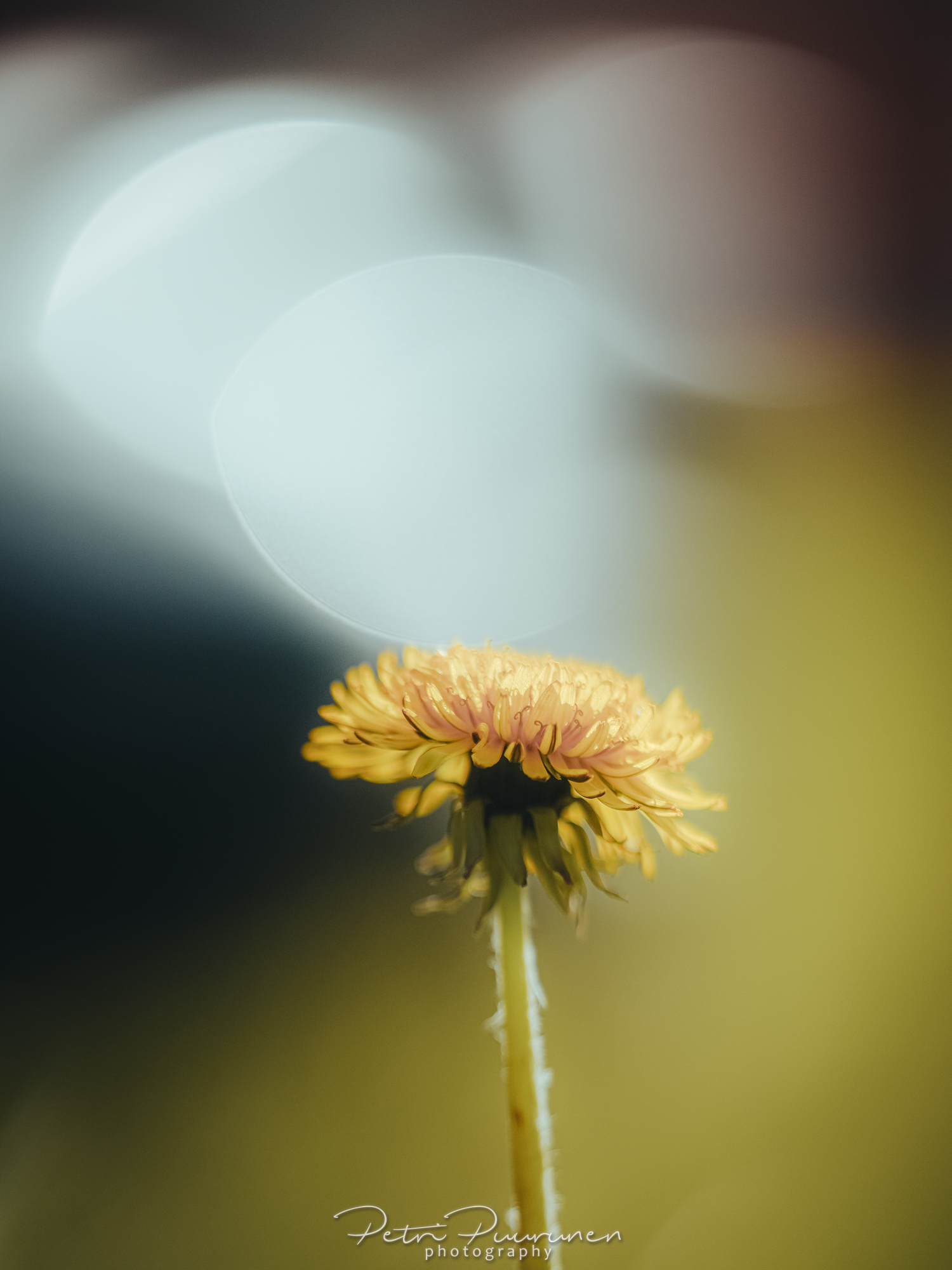 DSC06493.png