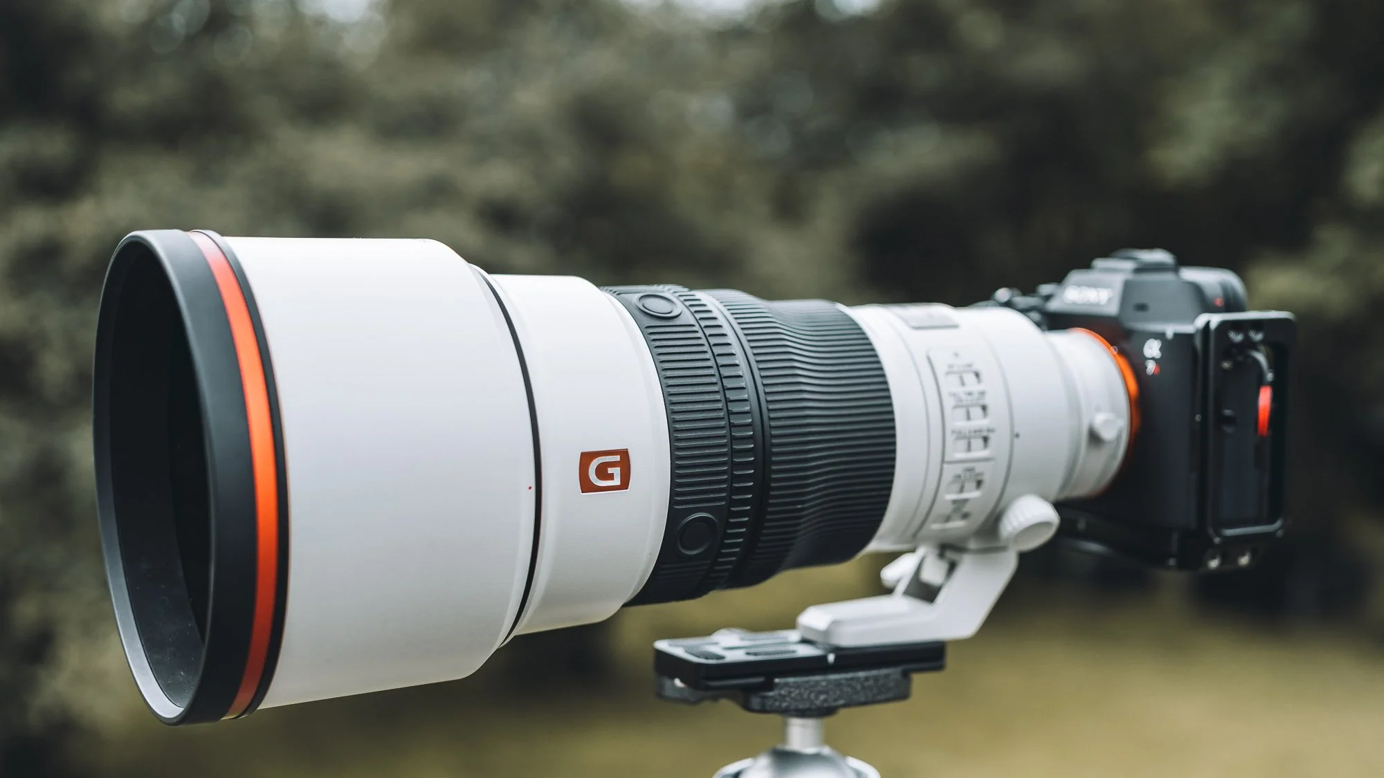 Testdrive : Sony FE 300mm F2.8 GM