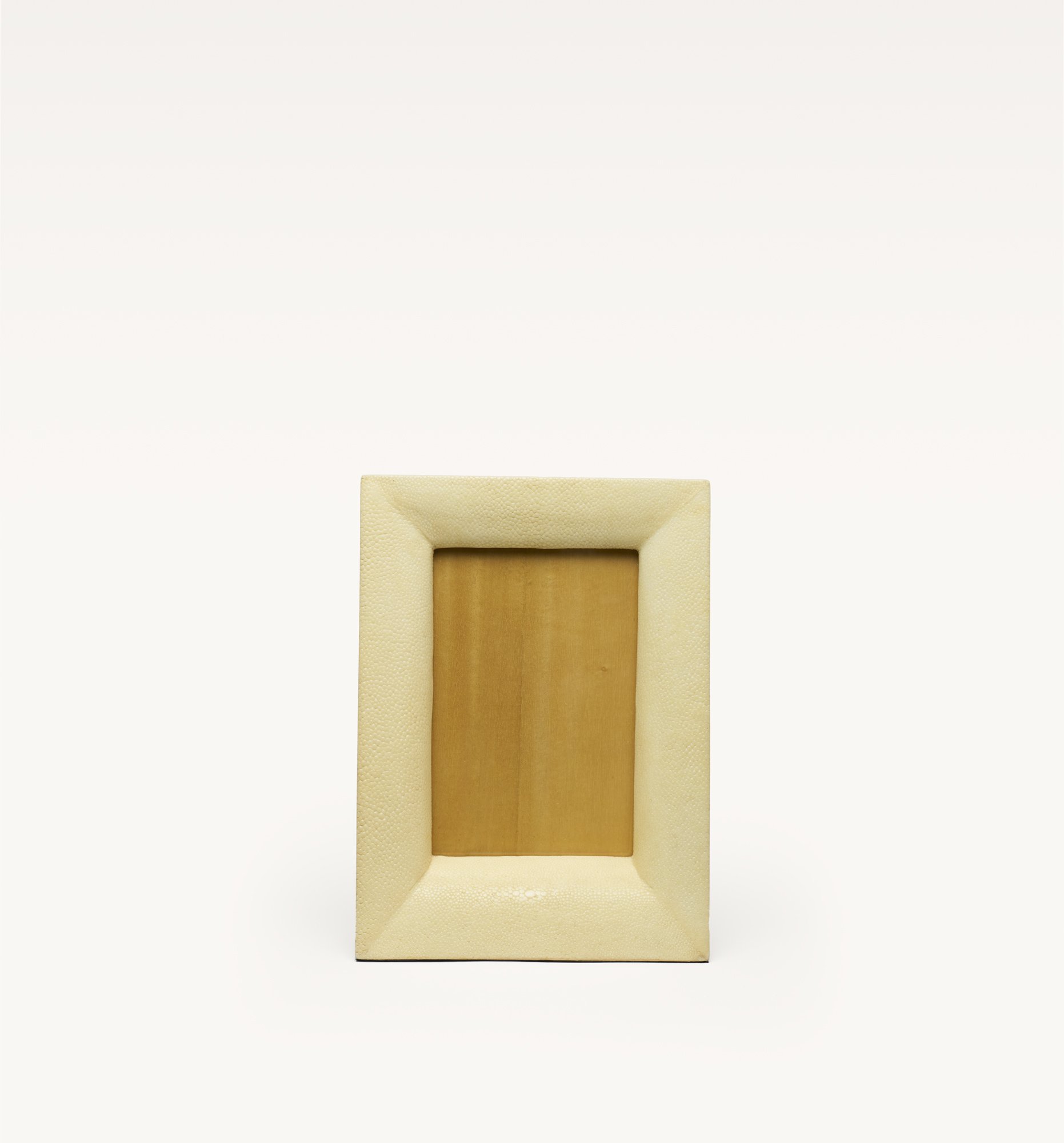 Shagreen Frame