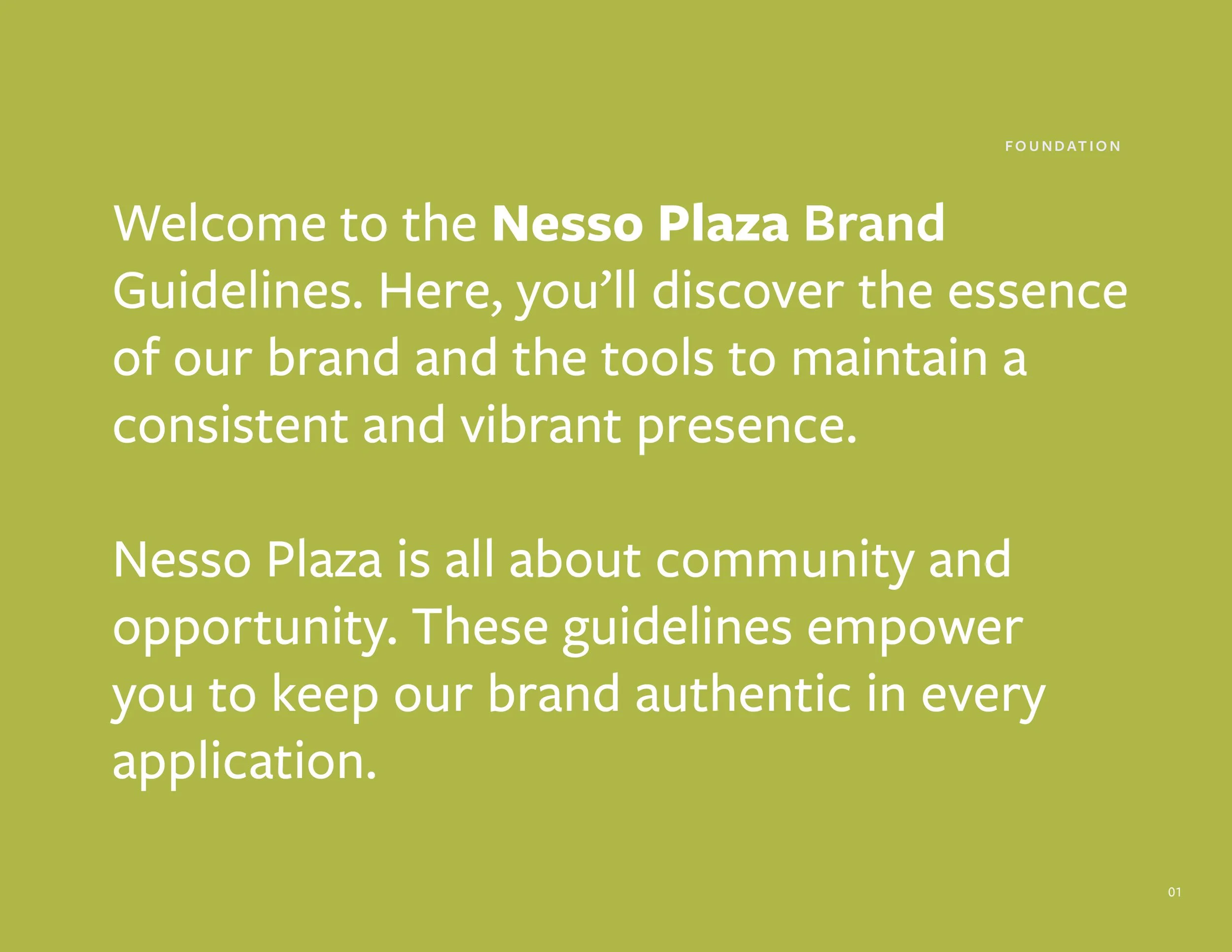 Nesso Plaza Final Brand Guide2.jpg