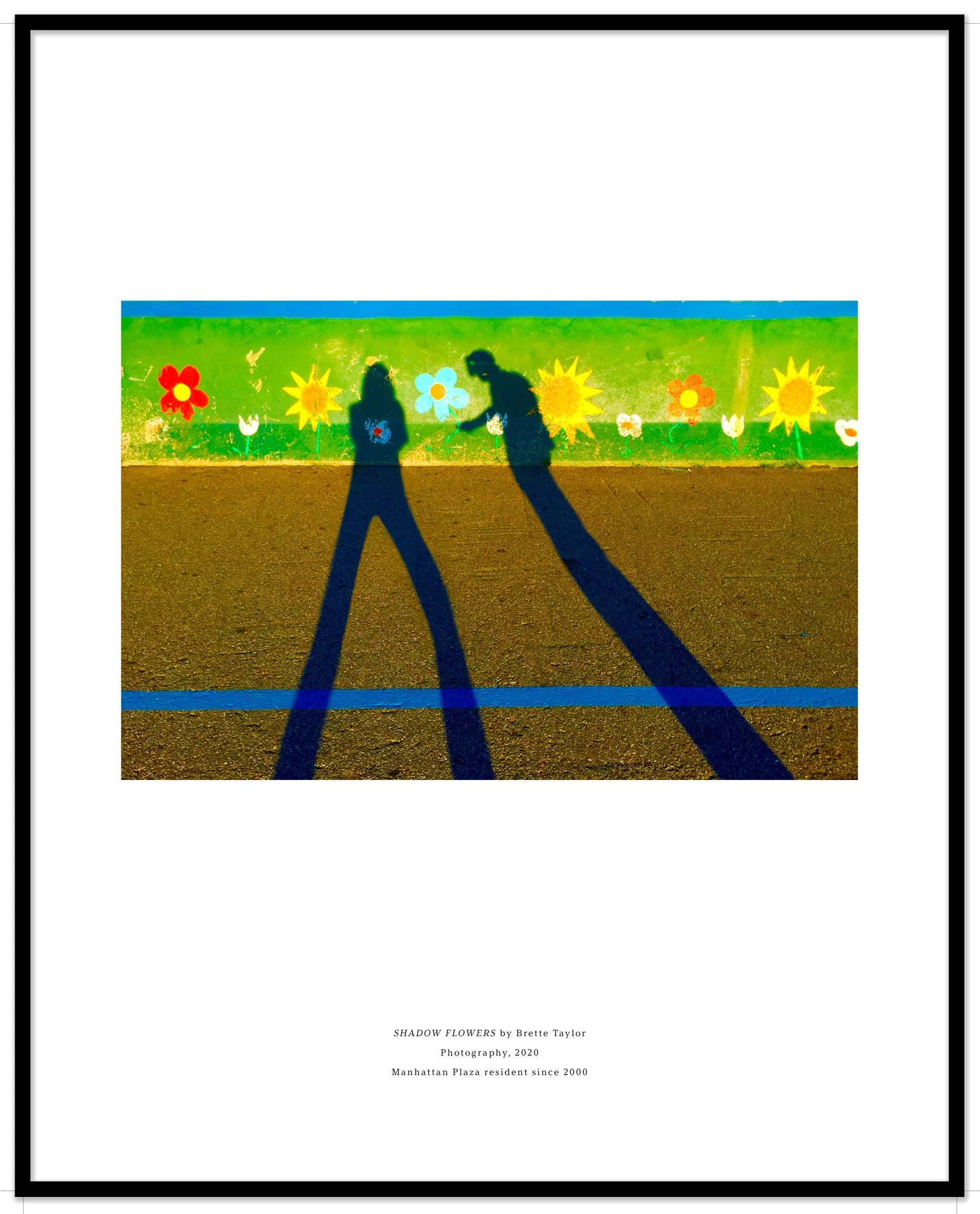  SHADOW FLOWERS (2020)  Brette Taylor 
