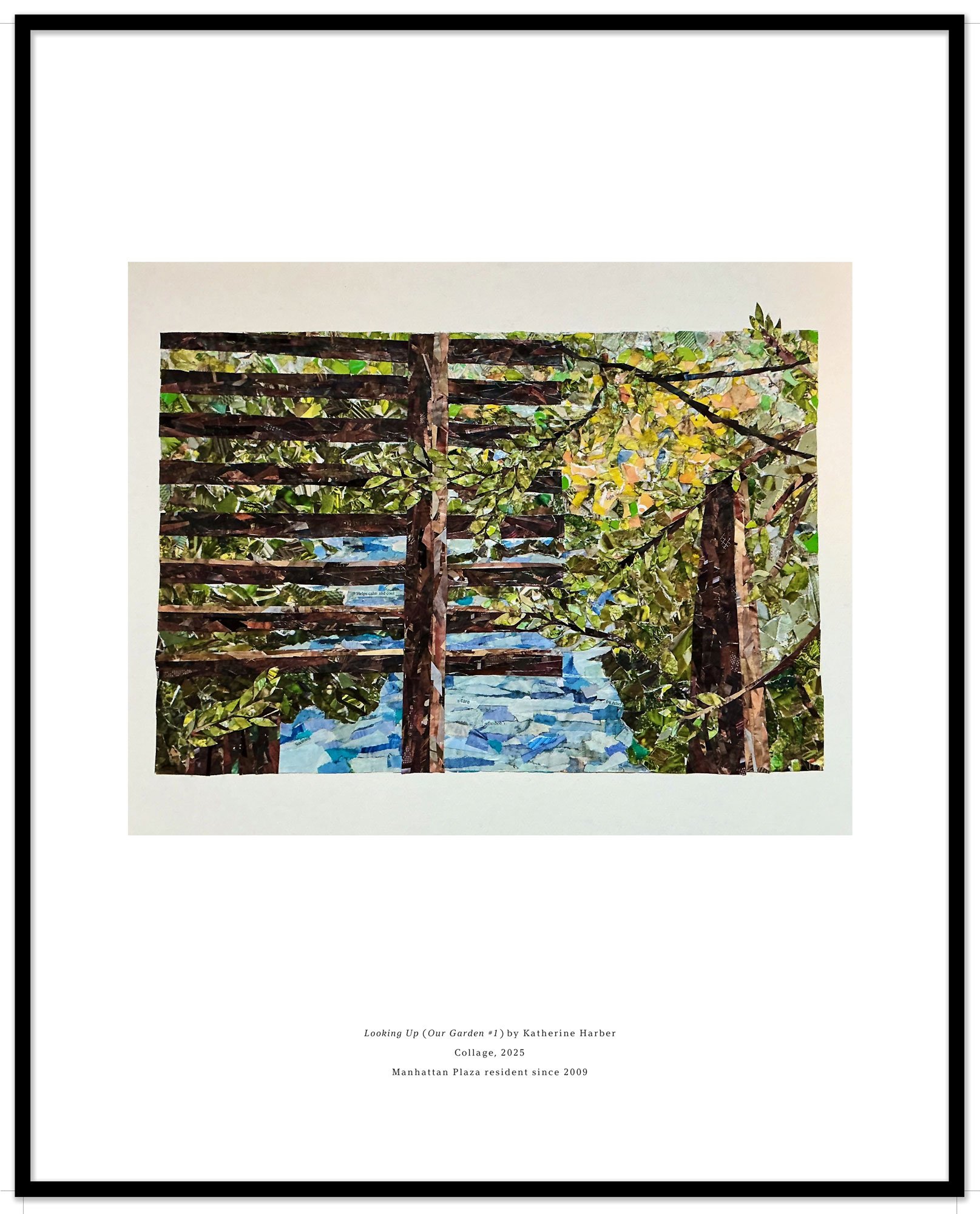 Looking Up (Our Garden #1) (2025)  Katherine Harber 
