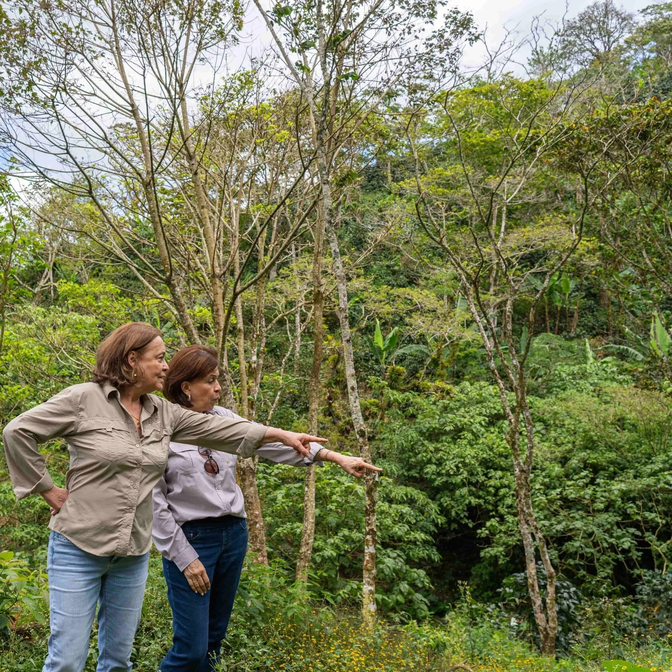 Espresso! Martha Albir & Ana Maria - Sleeping bag natural 🇳🇮