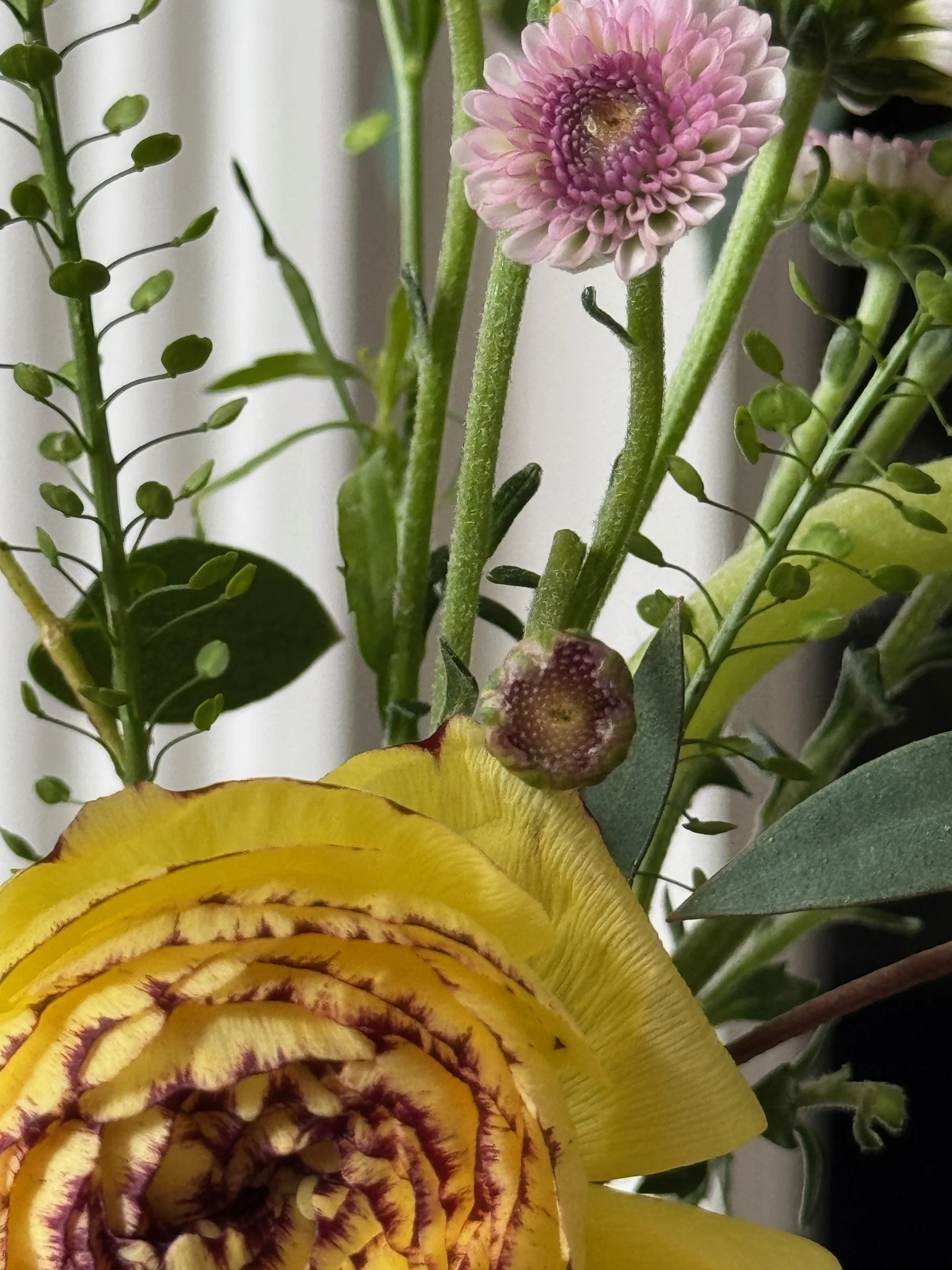 IMG_7477.jpeg (Copy)