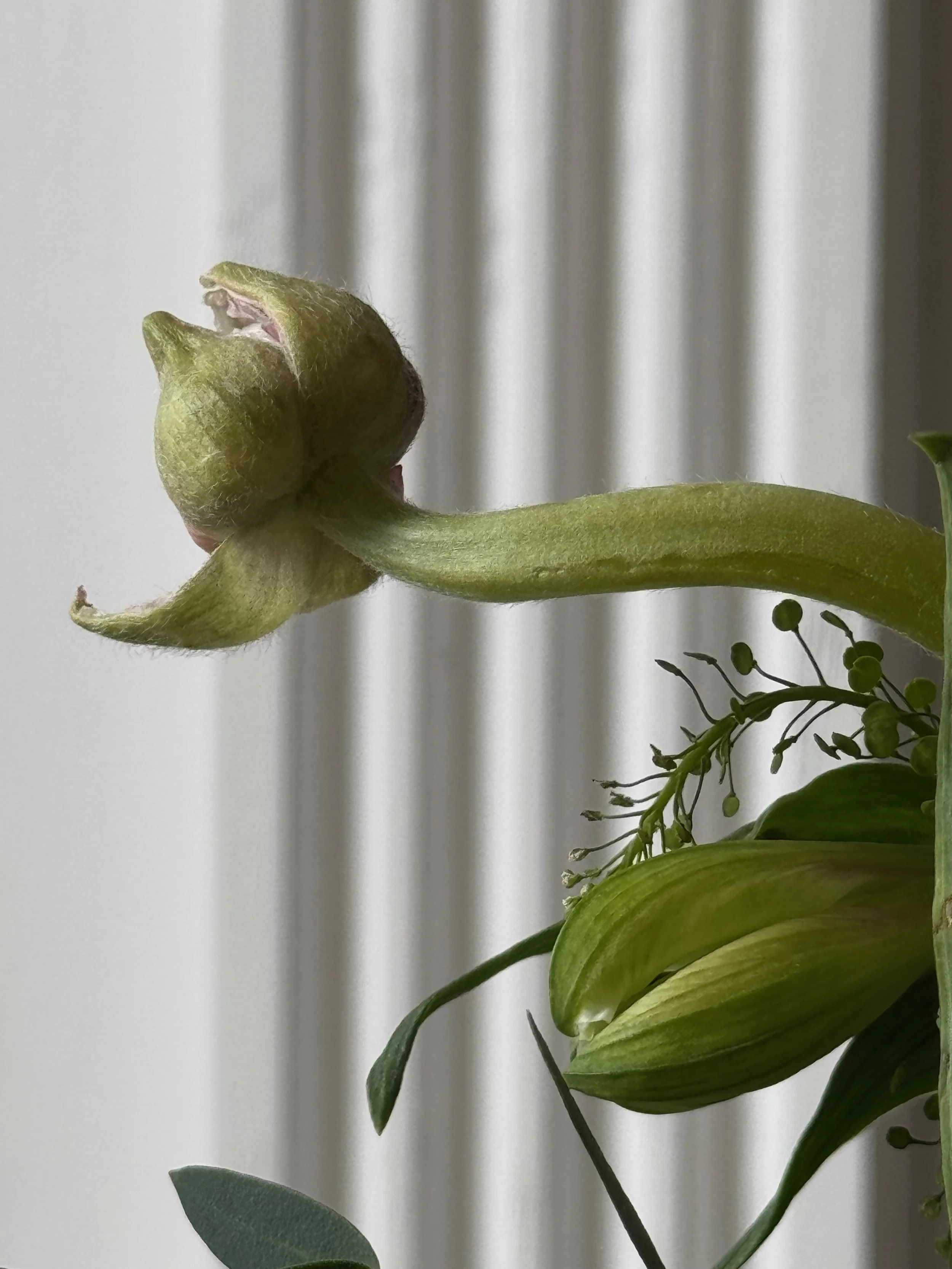 IMG_7478.jpeg (Copy)