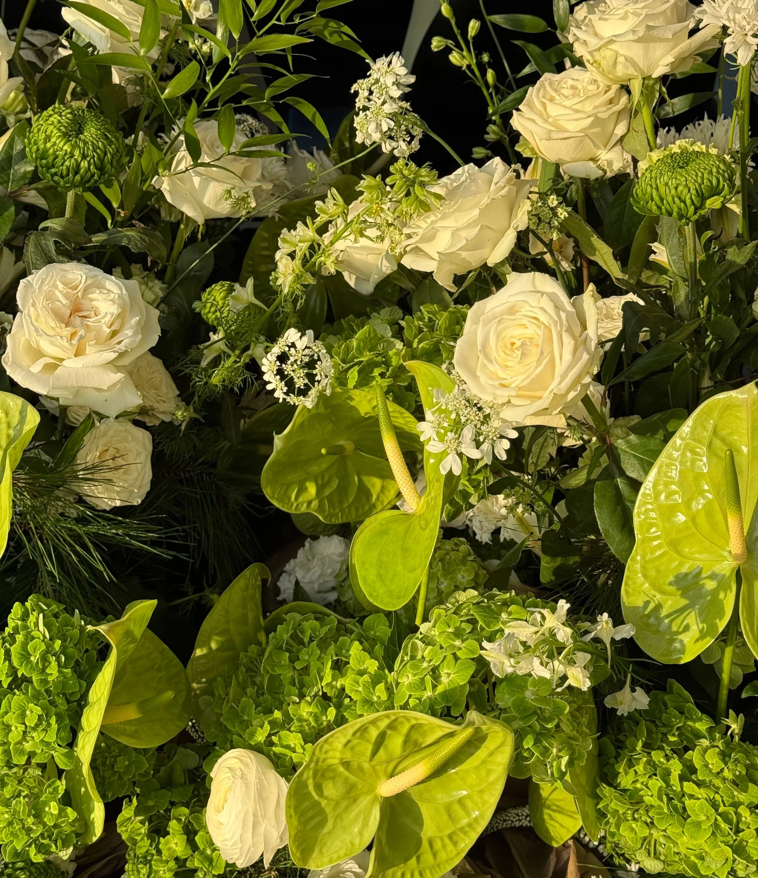 A floral arrangement of white roses, white flowers, and green foliage with two large green anthurium plants.