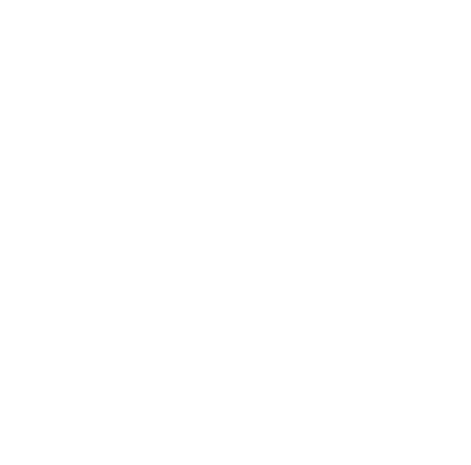 The Bearded Bookkeeper