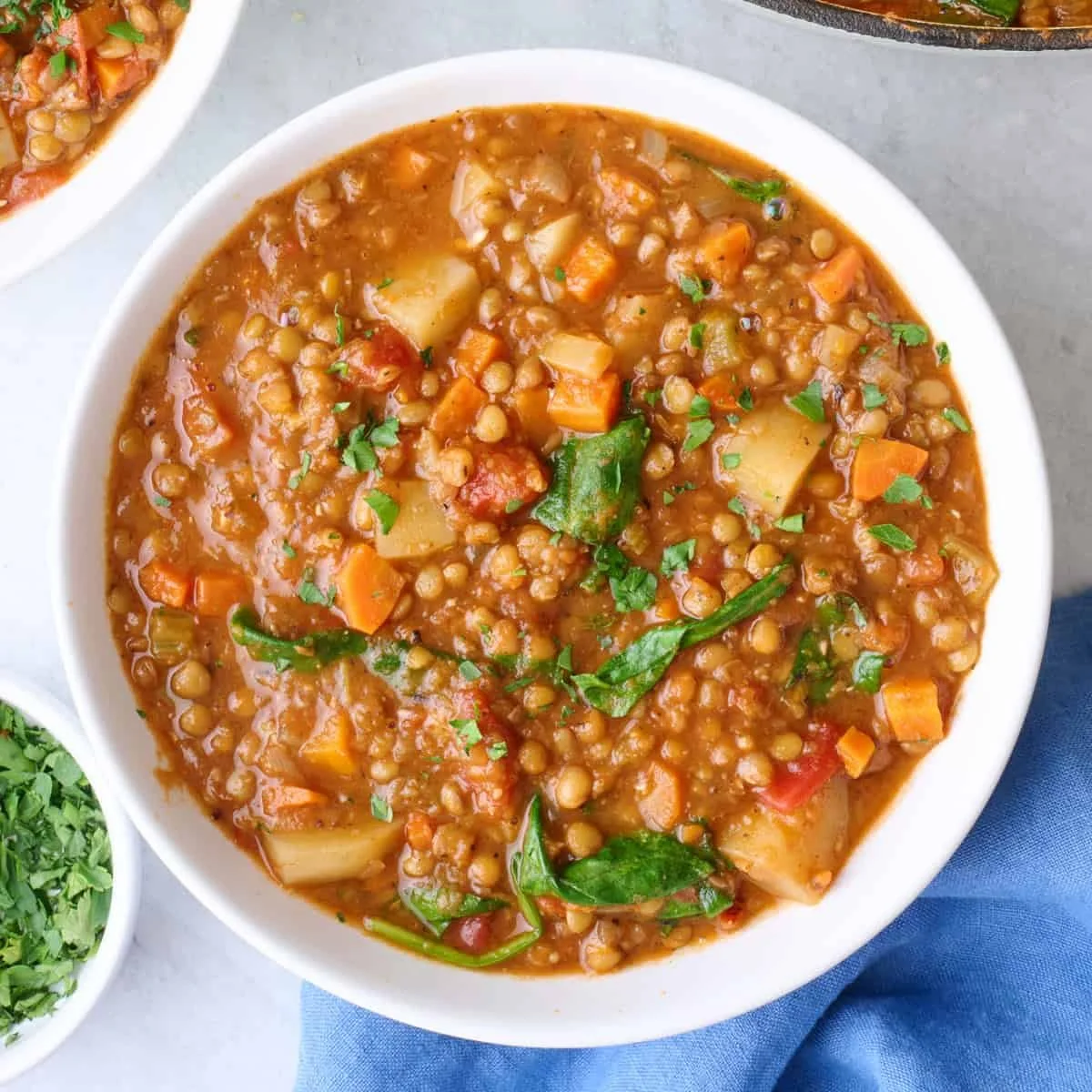 Lentil Stew //  2/26/26