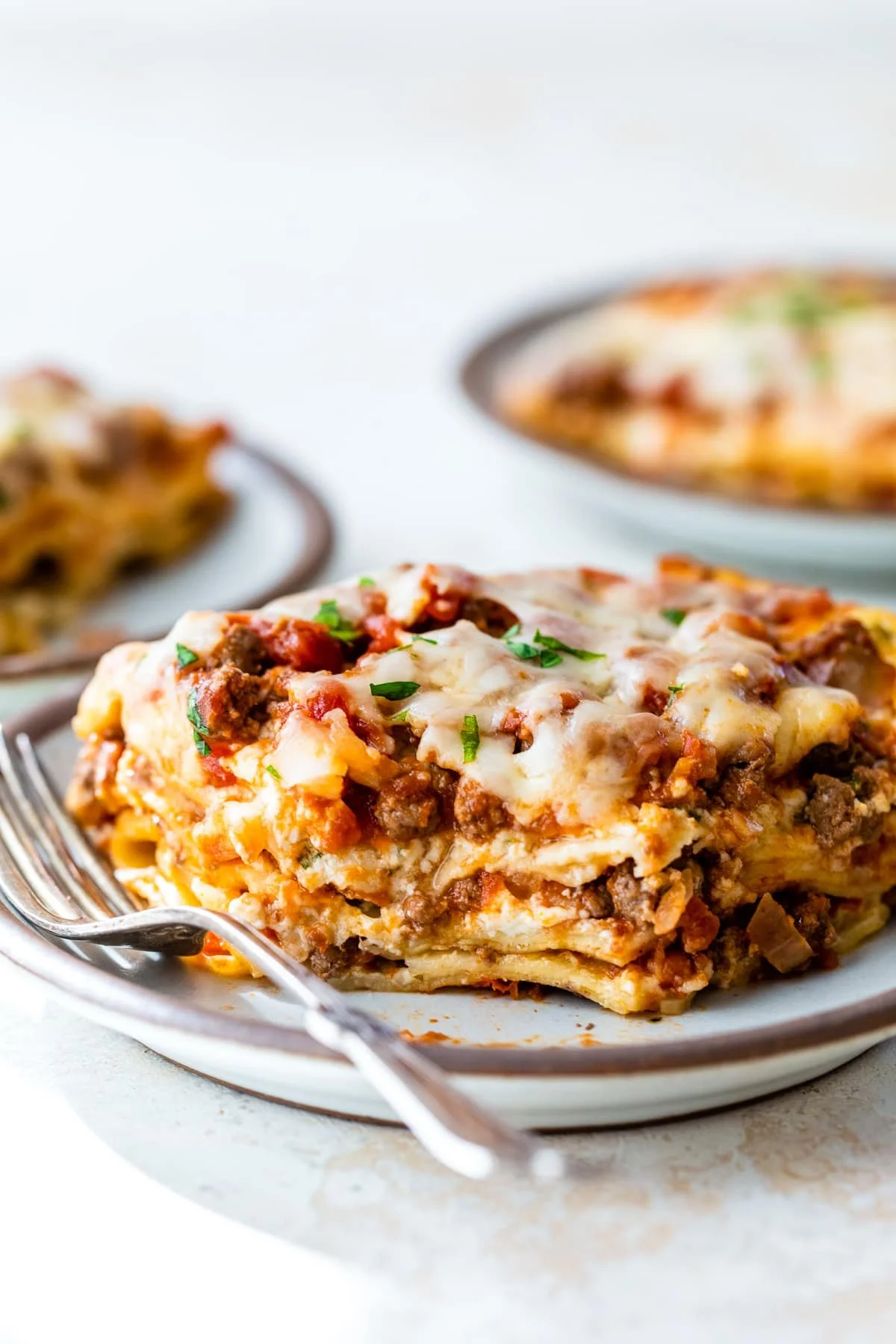 Beef or Vegetable Lasagna //  7/23/26