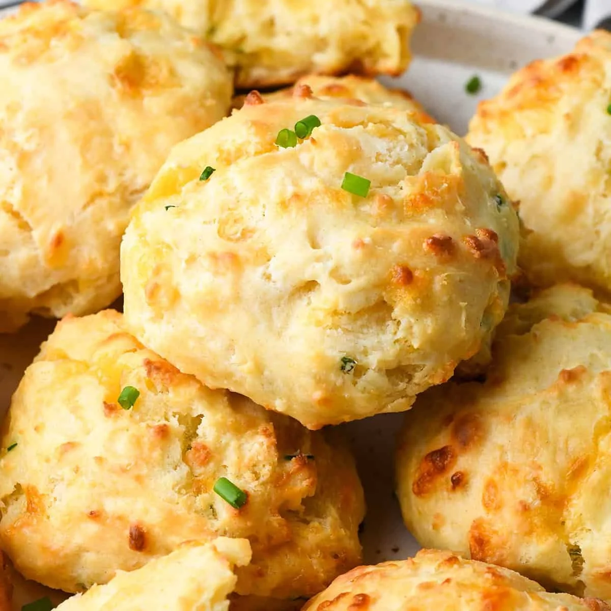 cheese-biscuits-recipe-7.jpg