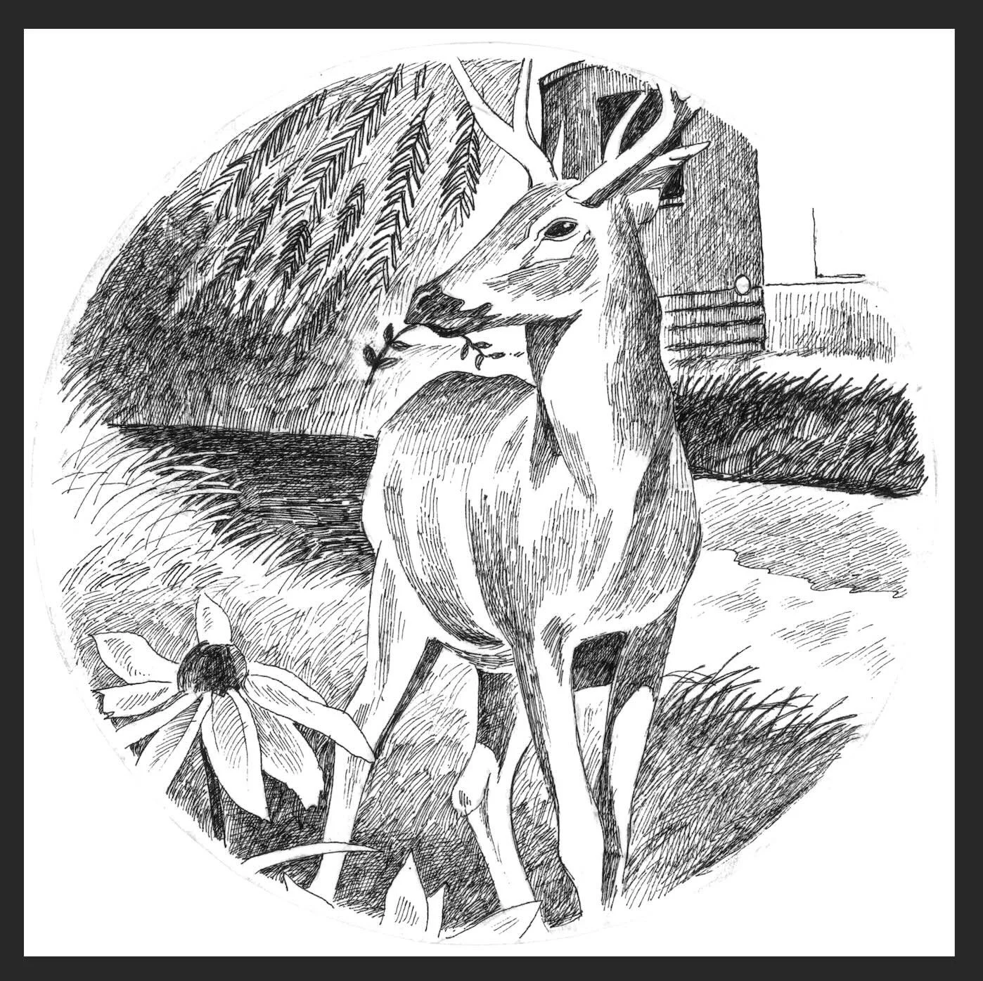 Mapleton Deer Notecard (with envelope)