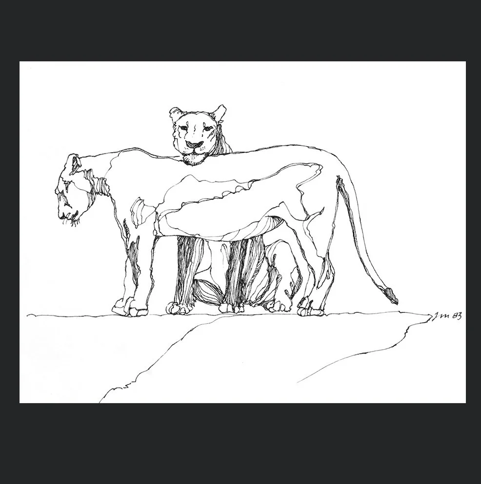 Lion full screenshot.jpg