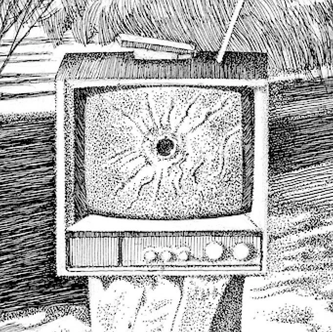 Ed TV.jpg