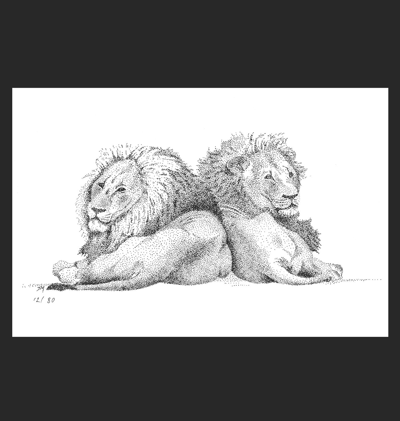 Lions Notecard (With Envelope)