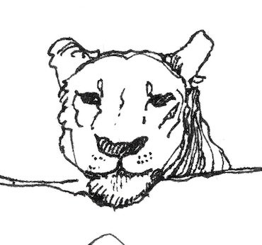 Lion head screenshot.jpg