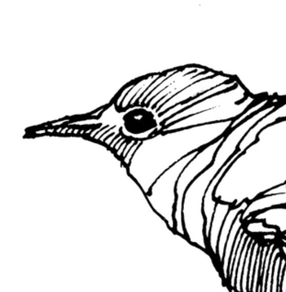 dipper head screenshot.jpg