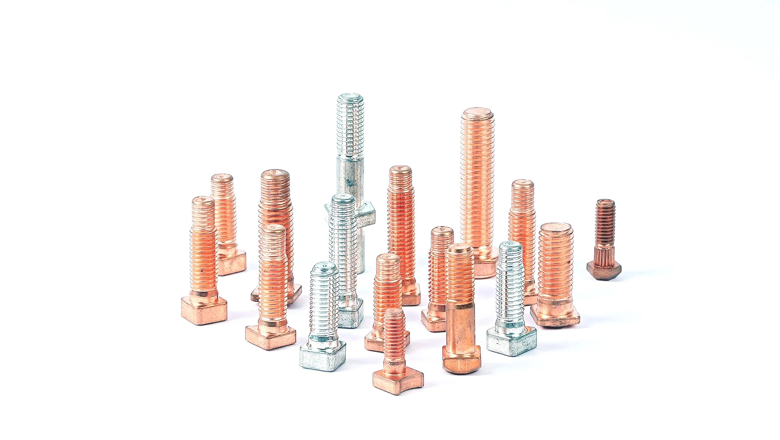 DSC00571.jpg