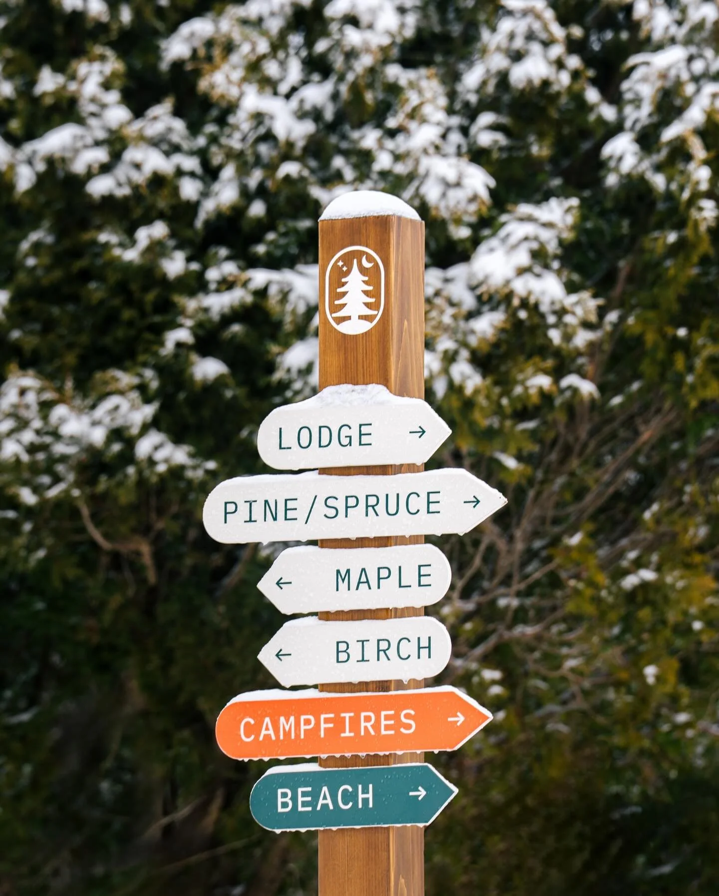 &ldquo;If you don&rsquo;t know where you want to go, then it doesn&rsquo;t matter which path you take&rdquo; the Cheshire Cat 🗝️🐛🫖🌂 Any direction you go at Camp DeForest will lead you to something magical. Cozy rooms, tasty snacks, and campfires 