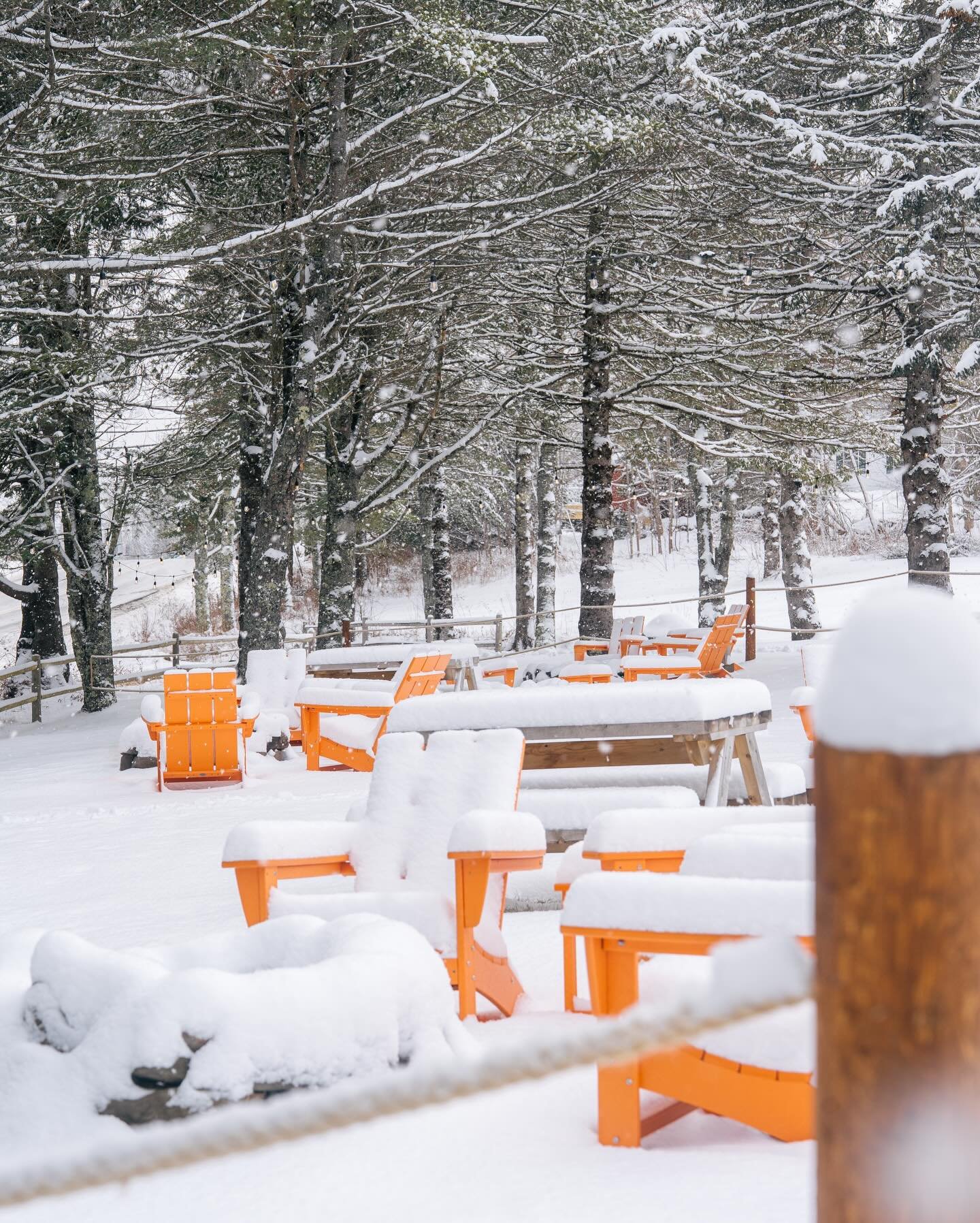 &ldquo;In the depth of winter, I finally learned that there was in me an invincible summer.&rdquo;

- Albert Camus

🕊️