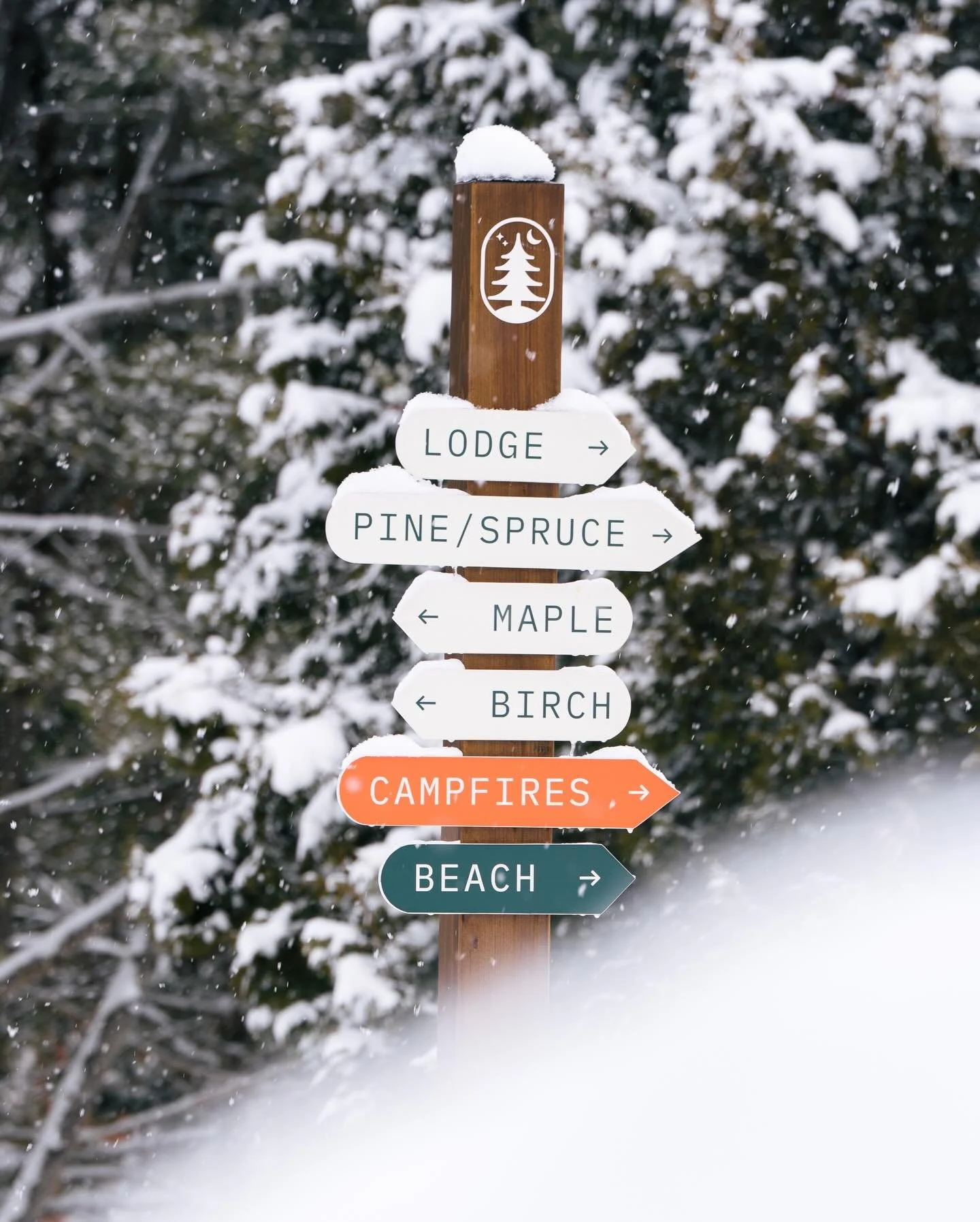 This is your sign to come on down to Camp DeForest! Open 7 days a week 8am to 8pm! We have a comfortable lounge to relax with friends in, fun games to play, and books and vintage magazines to inspire. Not to mention lots of tasty treats, salty snacks