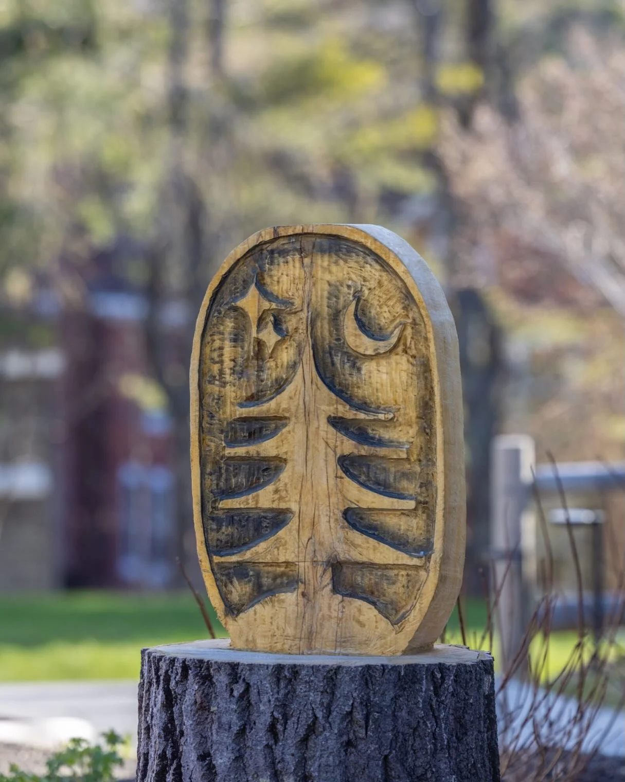 Every corner tells a story
Camp DeForest isn&rsquo;t decorated&mdash;it&rsquo;s curated. Each vintage typewriter, every carefully chosen
piece of mid-century decor, all those little nostalgic touches you&rsquo;ll discover tucked into corners...
they&