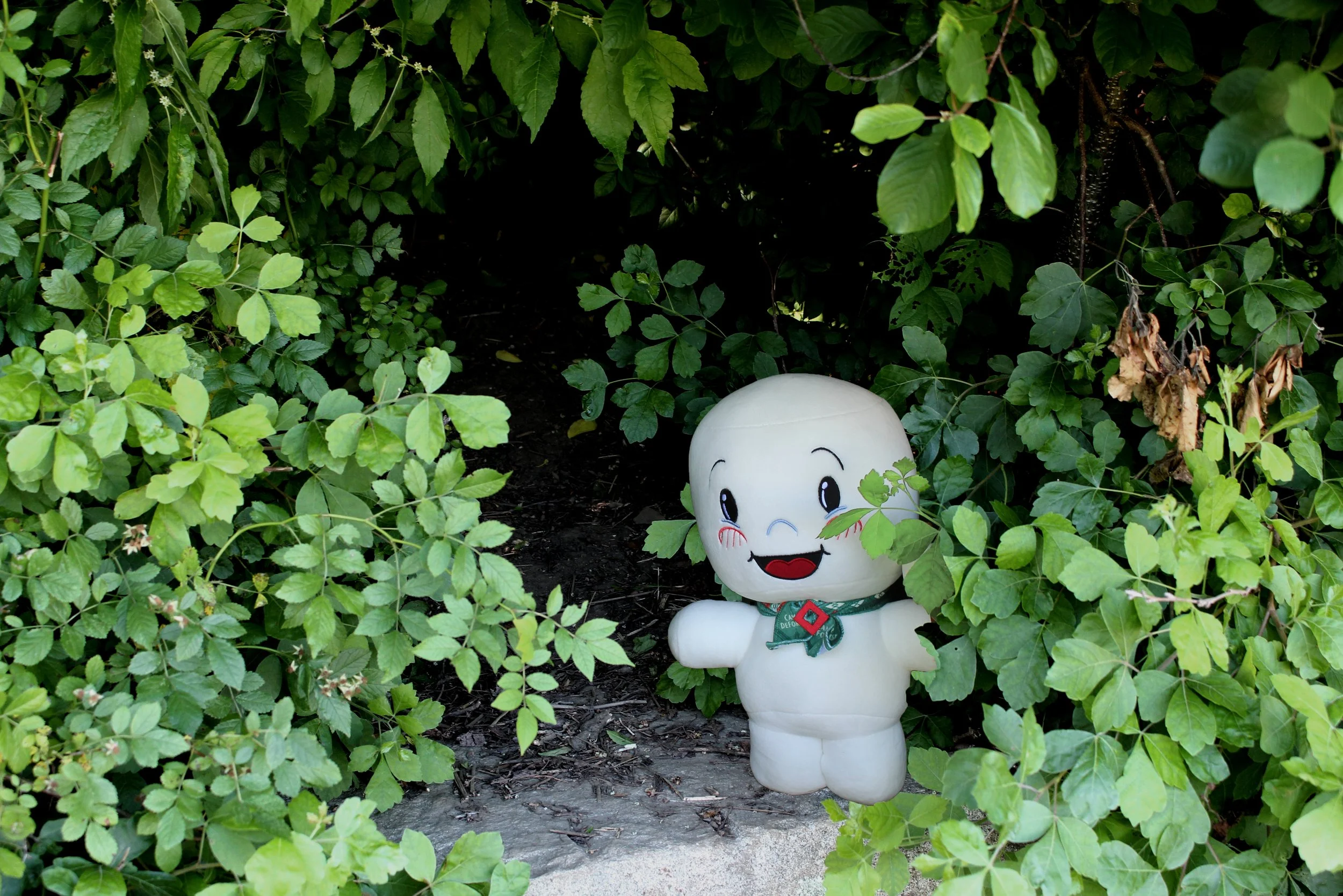 The Best Hotels in Camden Maine for Your Next Getaway