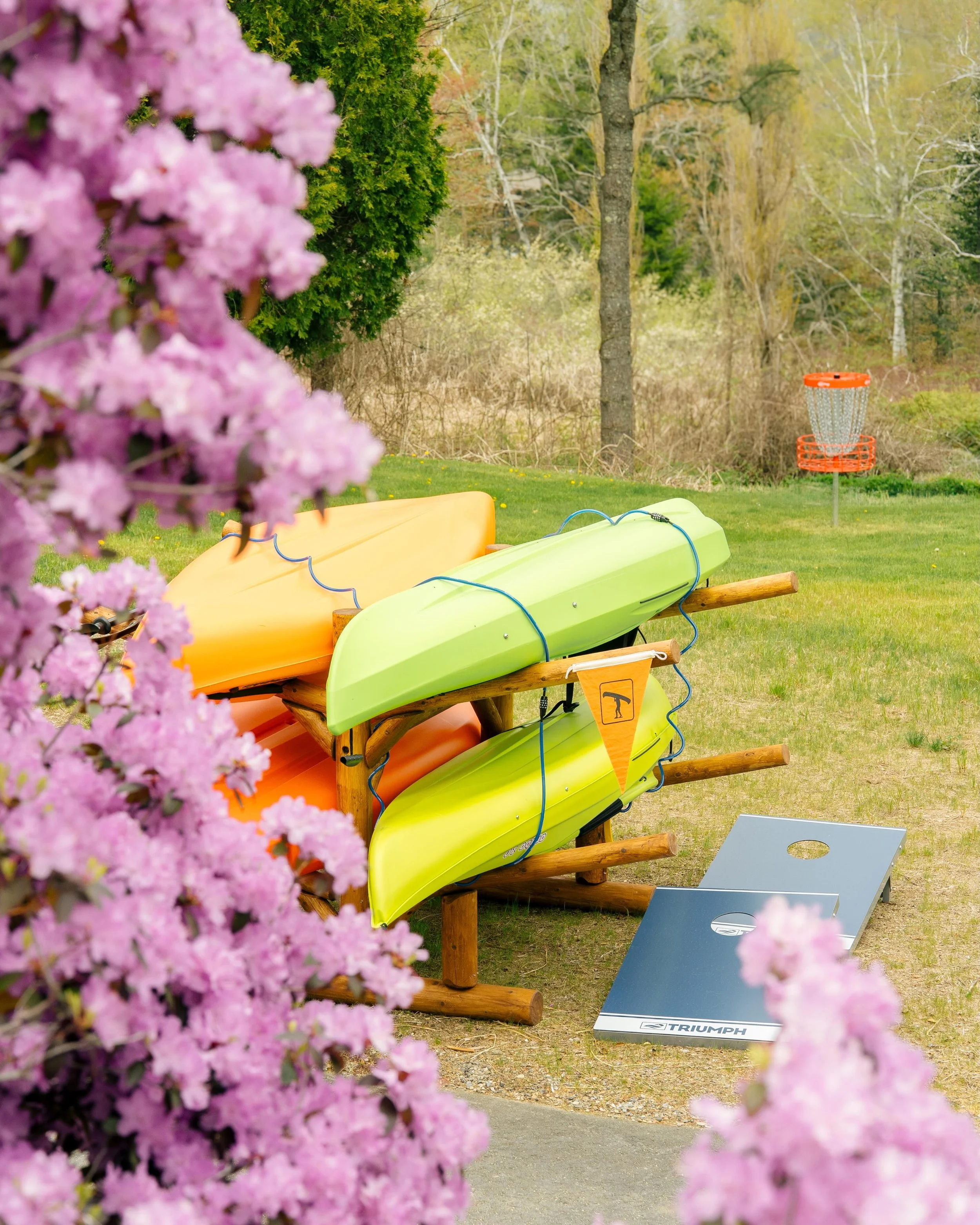 Azalea&rsquo;s are back in bloom! @campdeforestme #happyplace #maine #goodwoods #vacation #summer2026