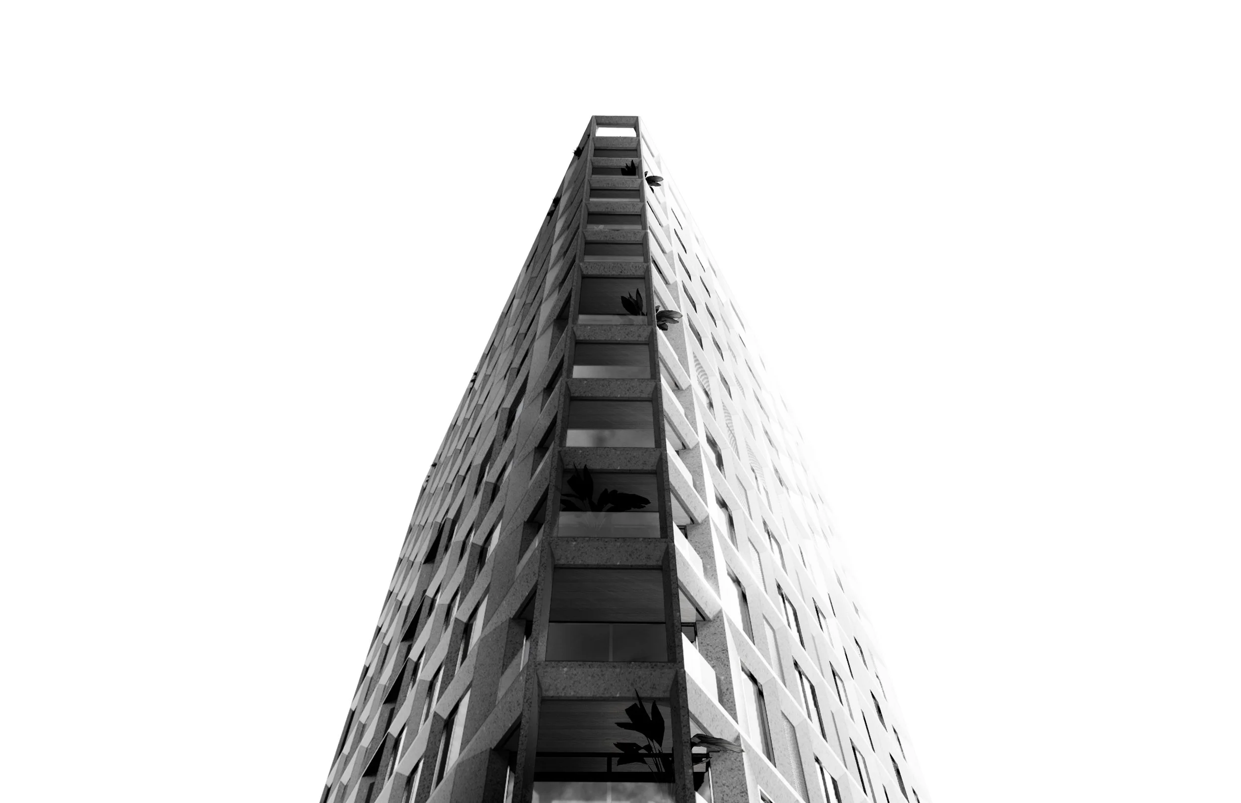 TORRE KISMET.jpg