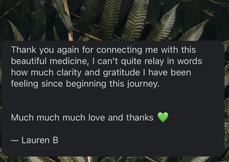 Screenshot 2024-06-09 at 3.14.41 PM.png