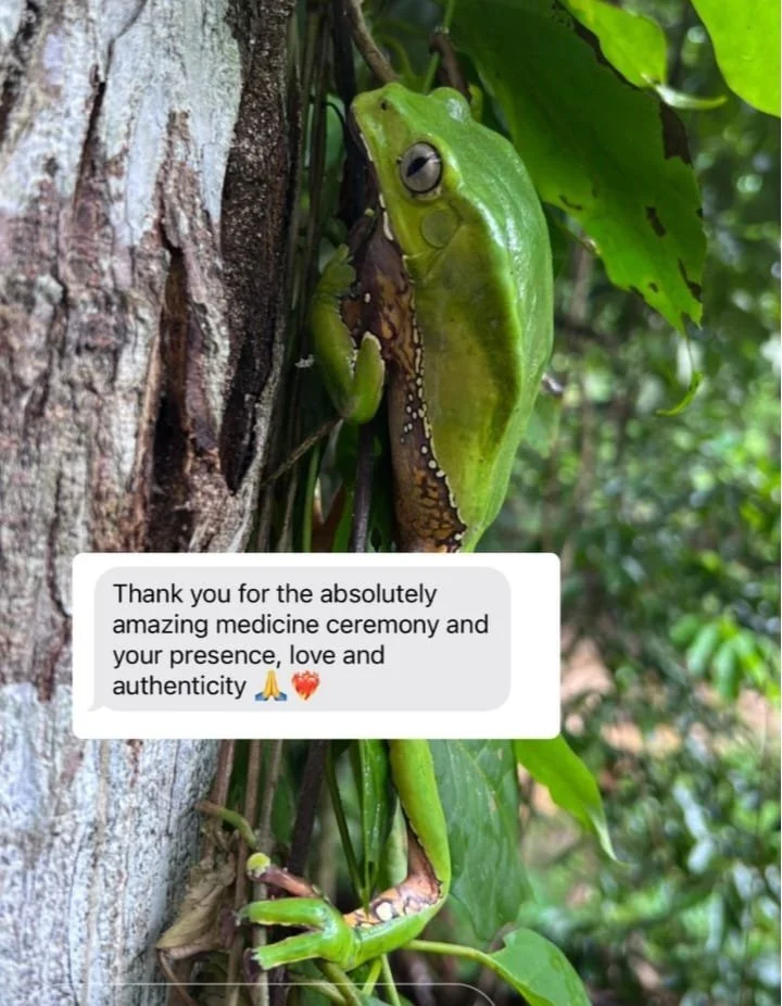 WhatsApp Image 2024-05-13 at 9.51.09 PM.jpg