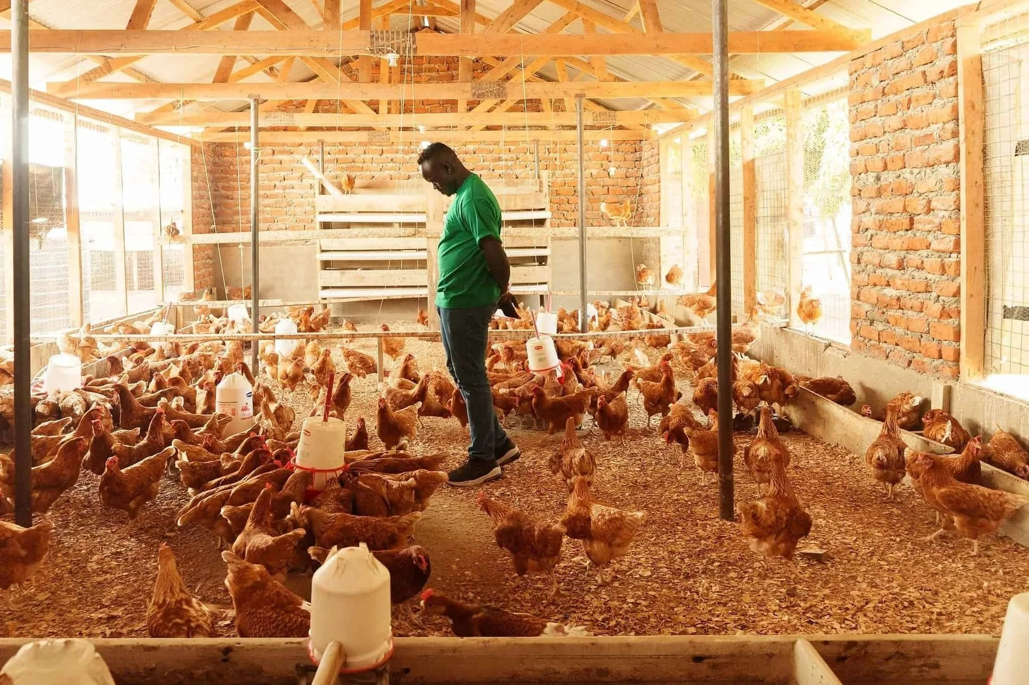 From the Margins to the Market: Lessons on investing in displacement-affected communities