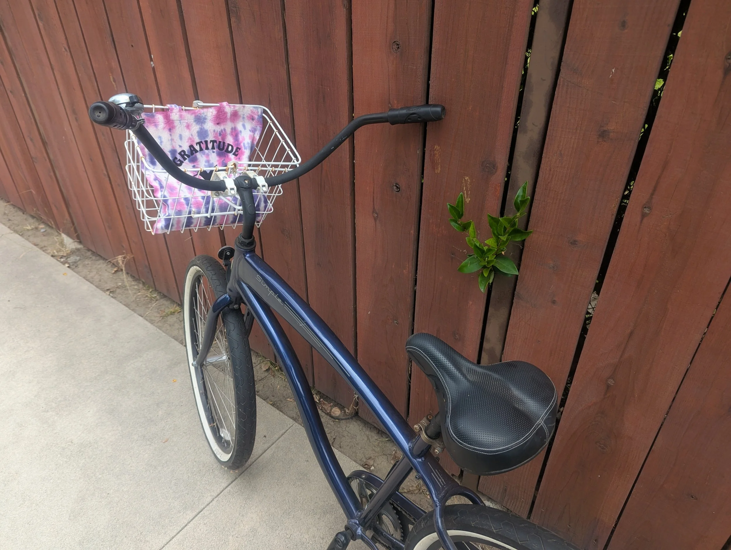 A Pyrite Angels Gratitude tote carried in the basket of a bicycle.