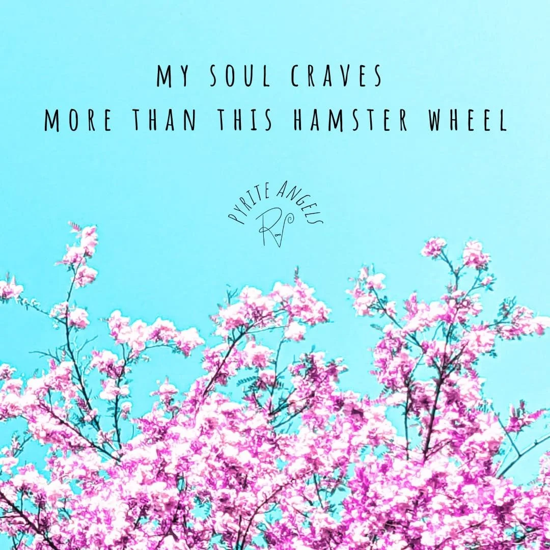 Hamster Wheel 2024.jpg