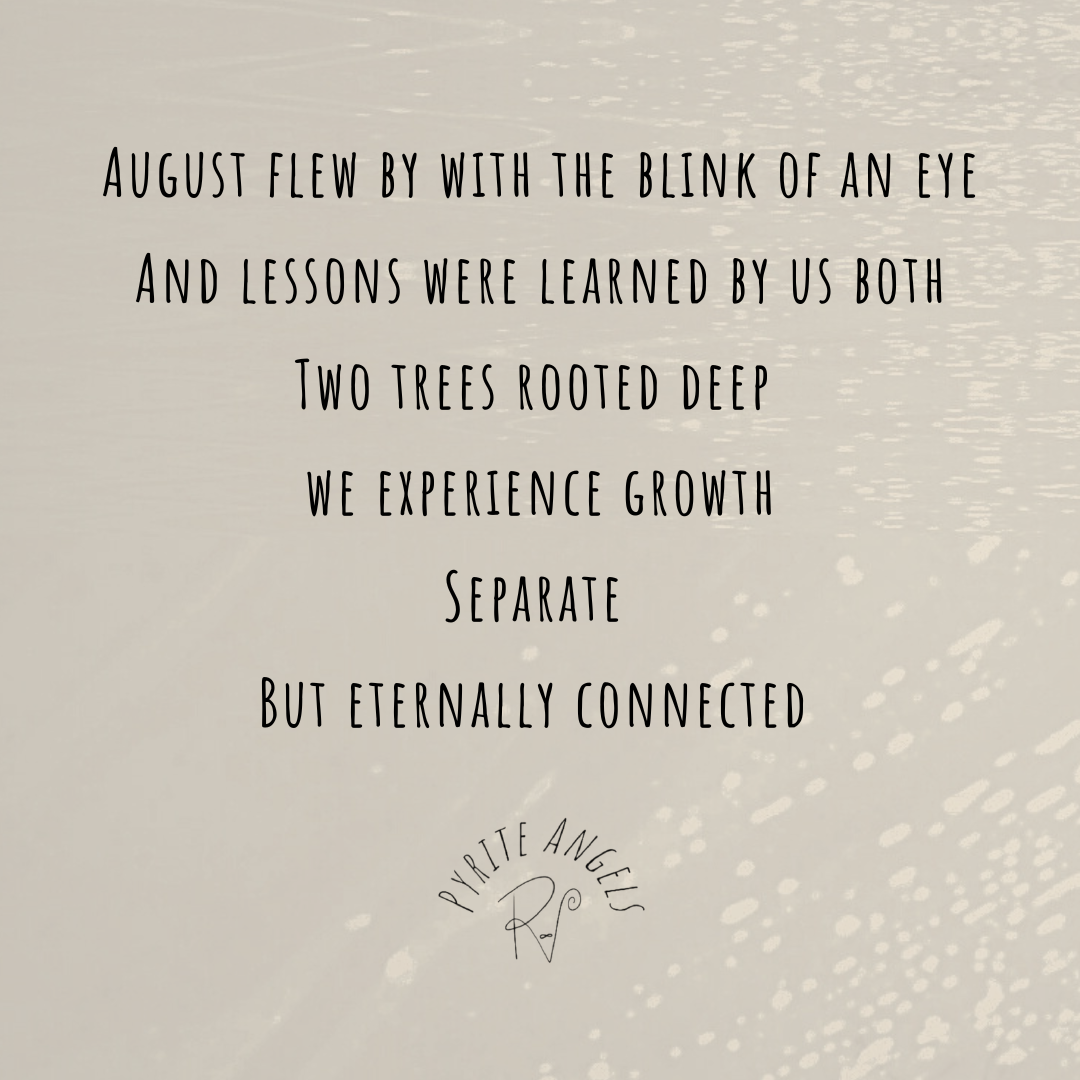 August Lessons 2024.png