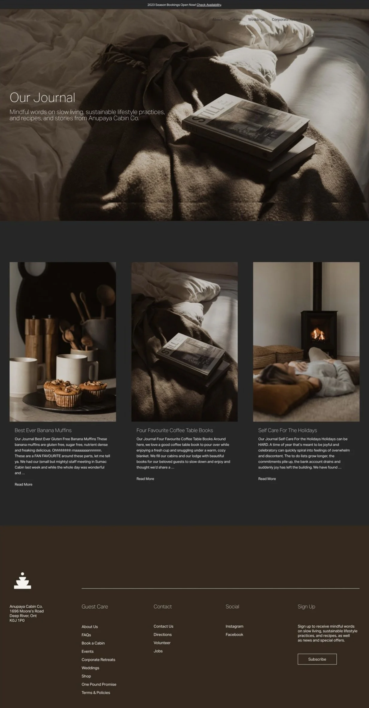 Modern minimalist earthy website for cabin resort with dark charcoal background and dark brown footer