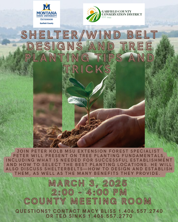 Shelter/Wind Belt Designs and Tree Planting Tips and Tricks Educational Class 