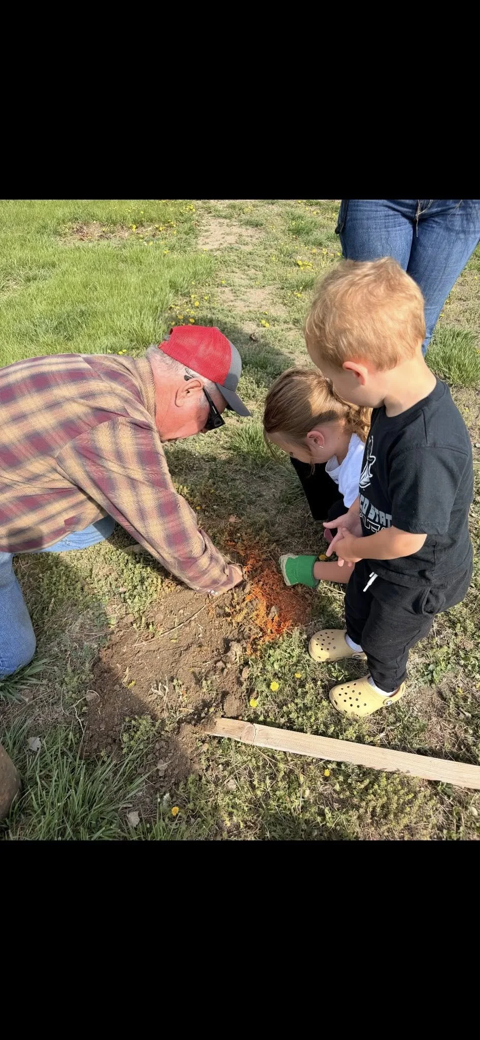 May 9, 2026 Community Tree Planting Event planting trees in the park below the school 