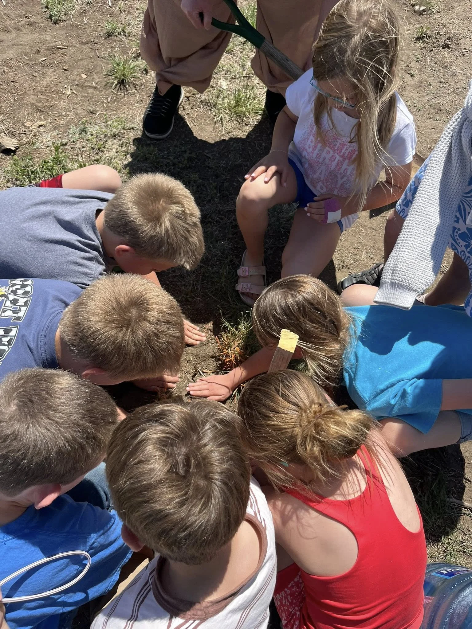 05.13.2026 K -5th Grade Tree Planting Event held at the Park below the School 