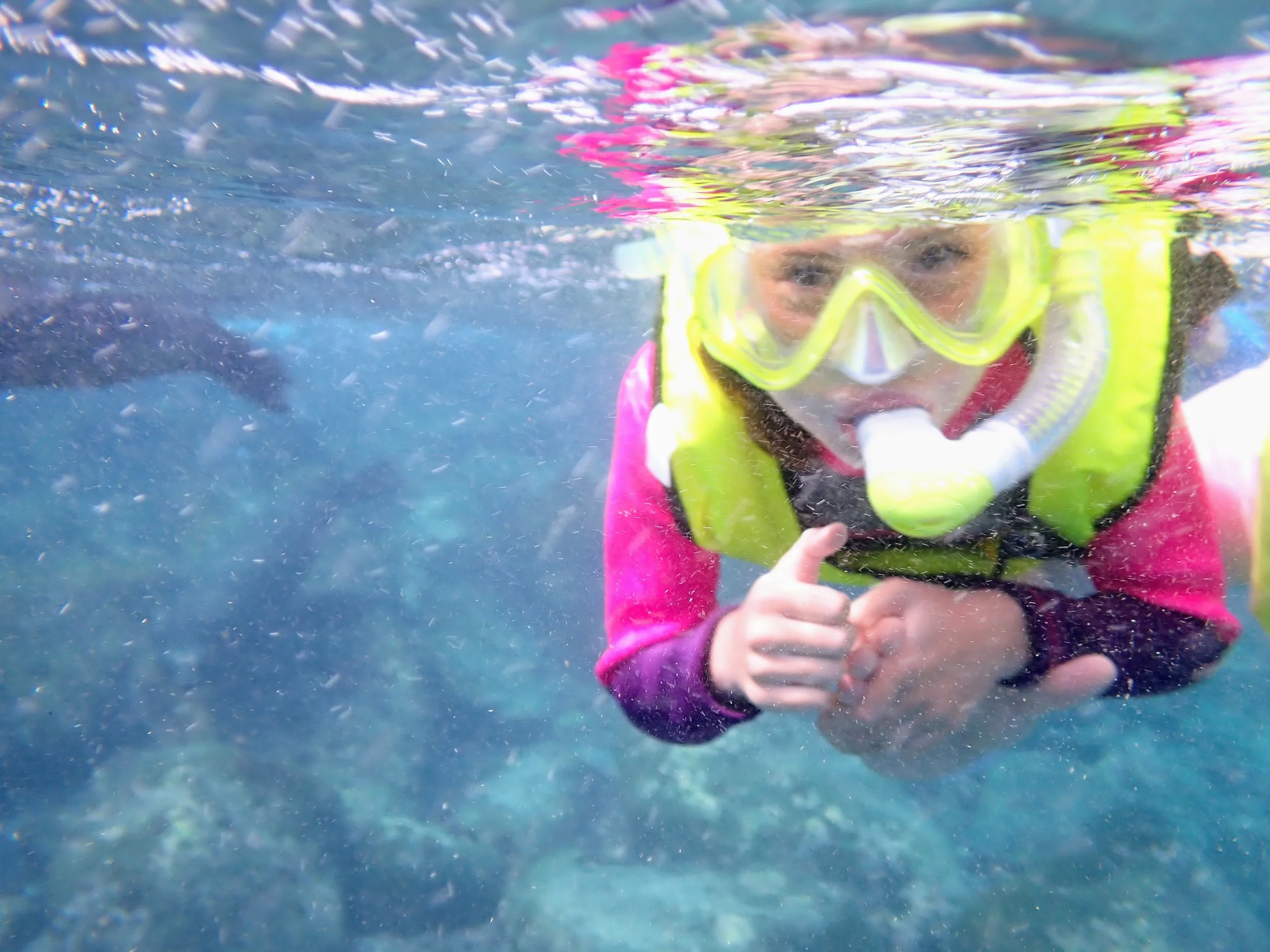Snorkeling is fun! And is loved at Fix It PT