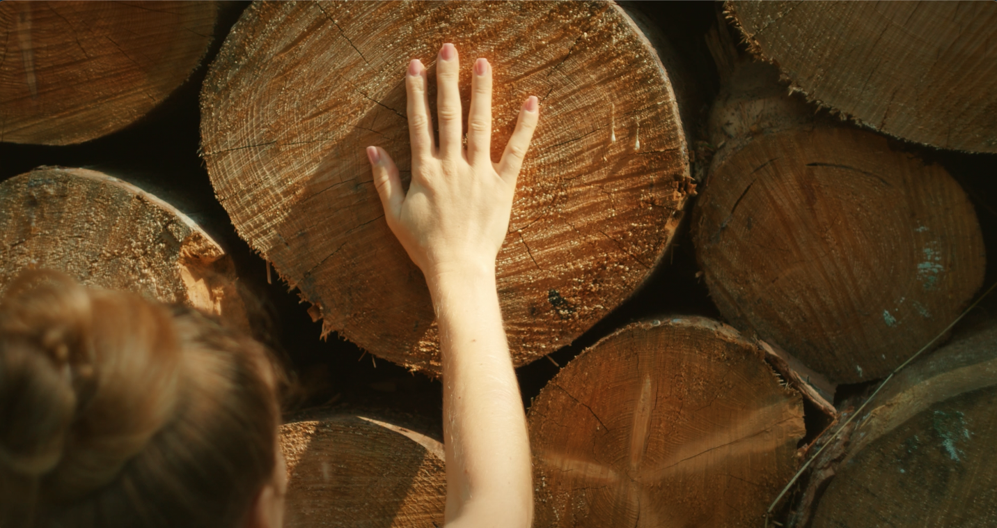 Leading With Courage and Curiosity 