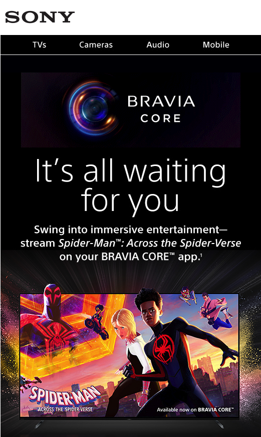 Sony BC Newsletter | Monthly Email Series