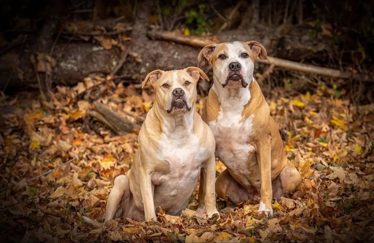 photo_2026-01-19_20-42-11 (3).jpg